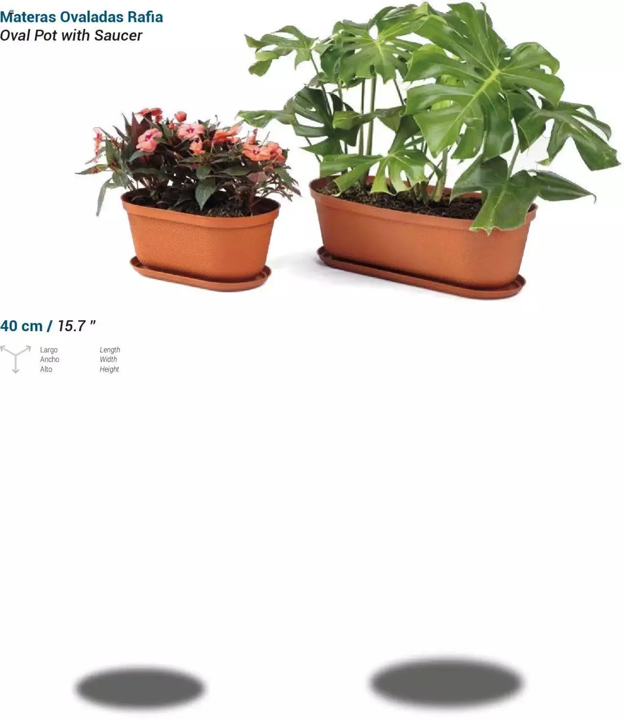 Catalogo de Rimax - Folleto 1 de marzo al 31 de diciembre 2024 - Pag 13