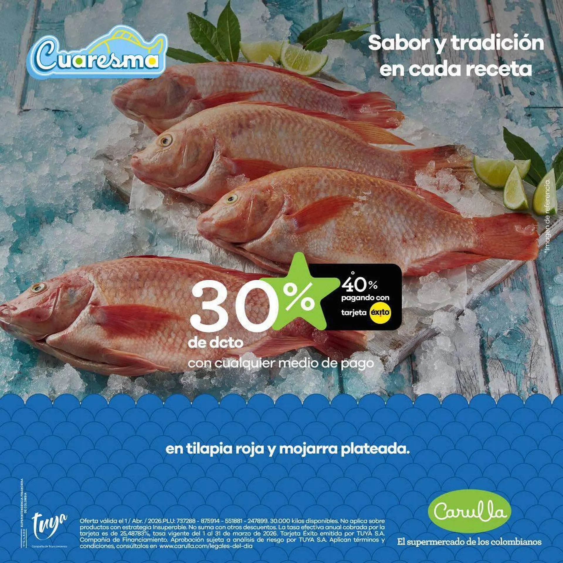 Catálogo Carulla - 1