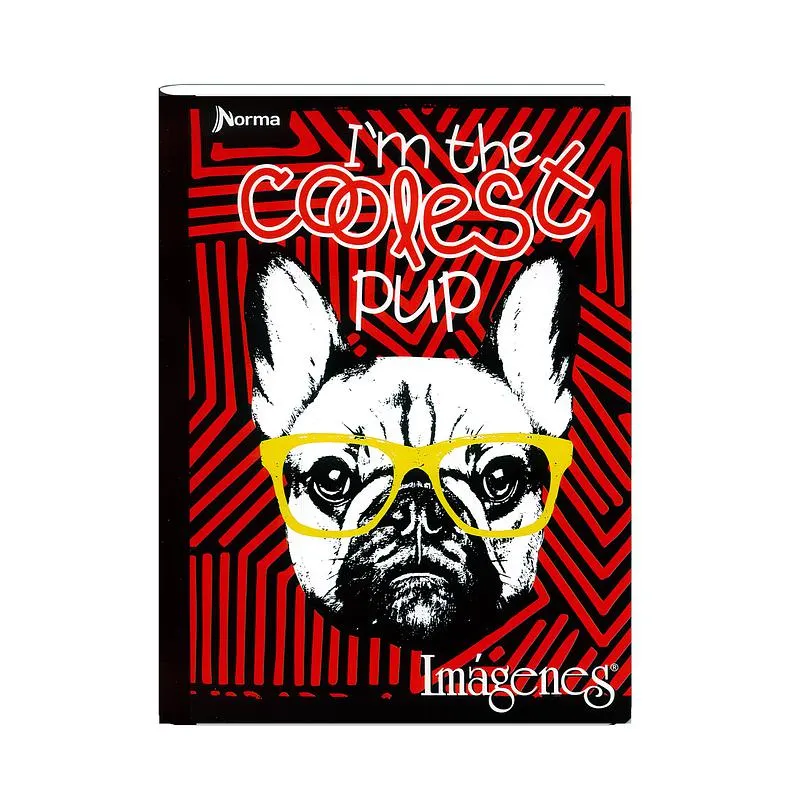 Cuaderno Cosido Imágenes Masculino 50 Hojas Cuadros