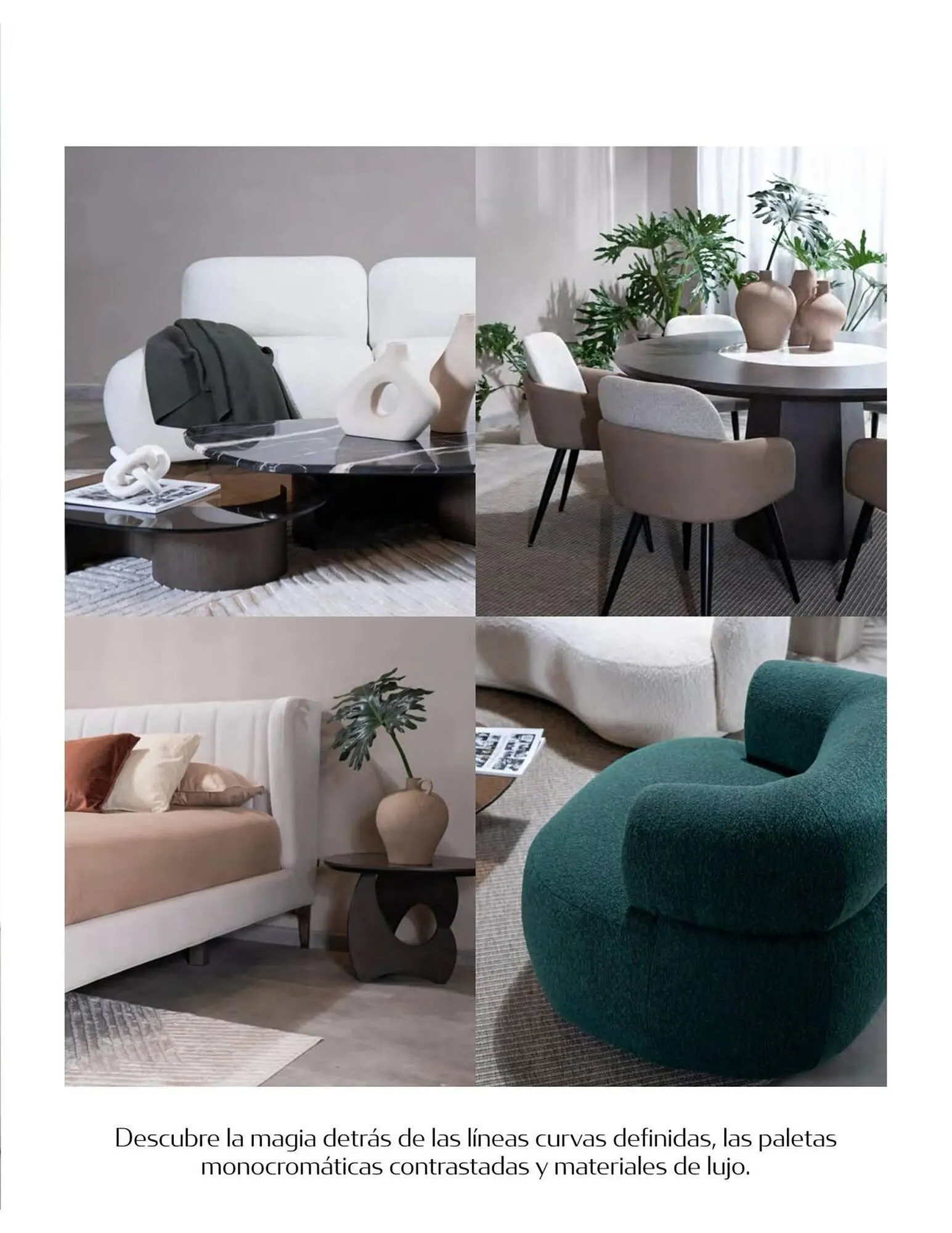 Catalogo de Catálogo Aristas 9 de febrero al 31 de diciembre 2024 - Pag 5