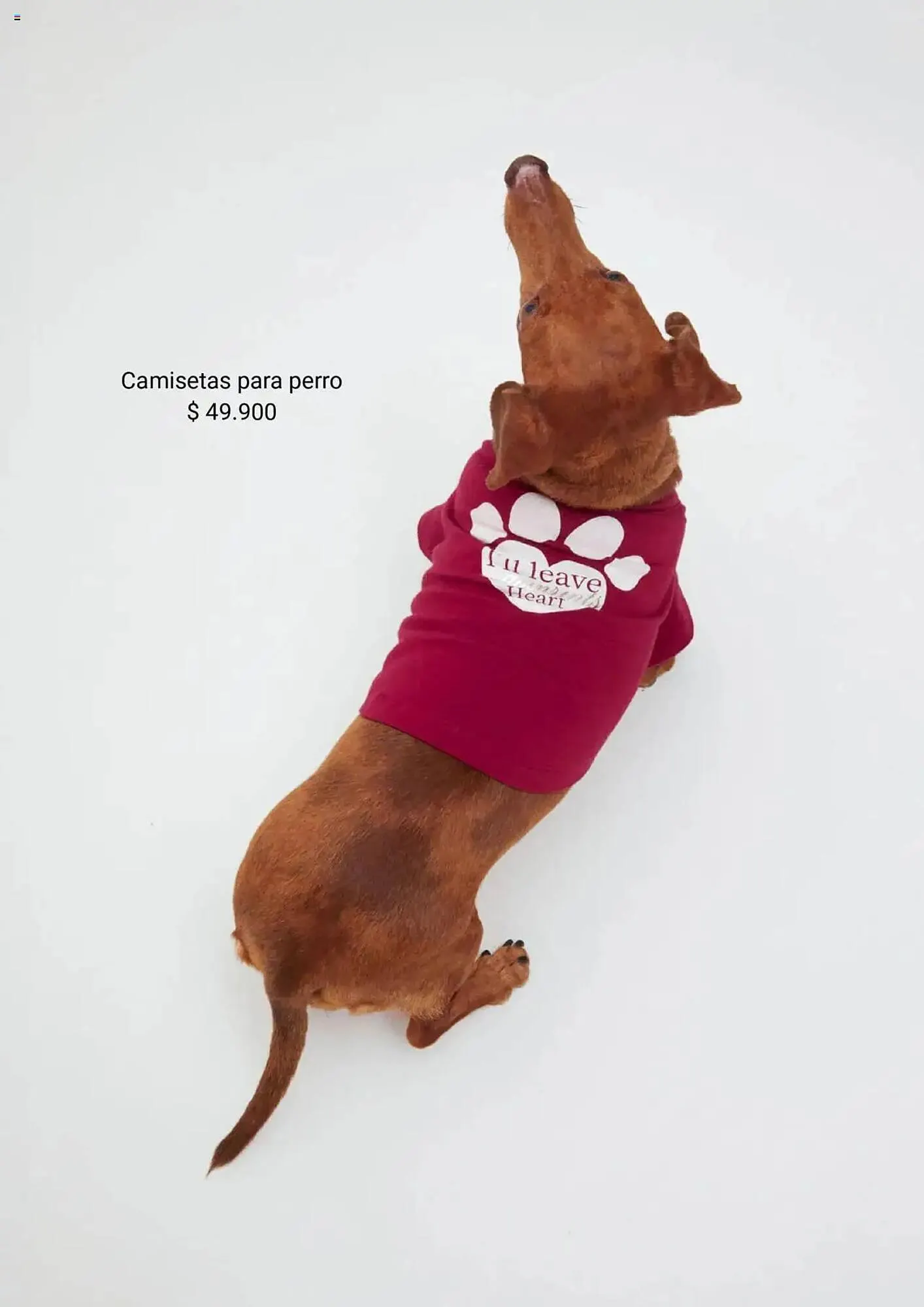 Catalogo de Catálogo ELA 30 de junio al 28 de julio 2025 - Pag 5