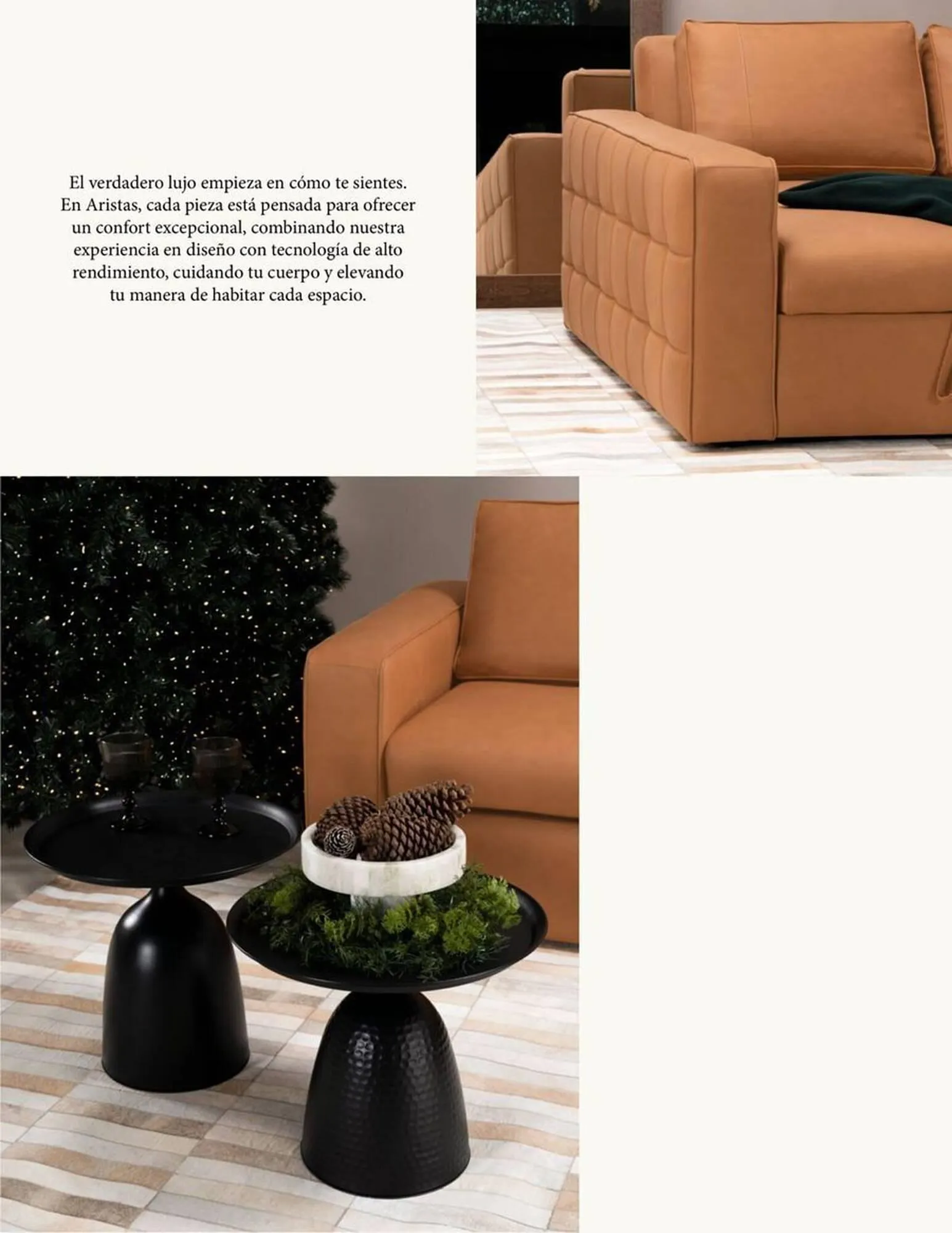 Catalogo de Catálogo Aristas 15 de noviembre al 12 de enero 2026 - Pag 57