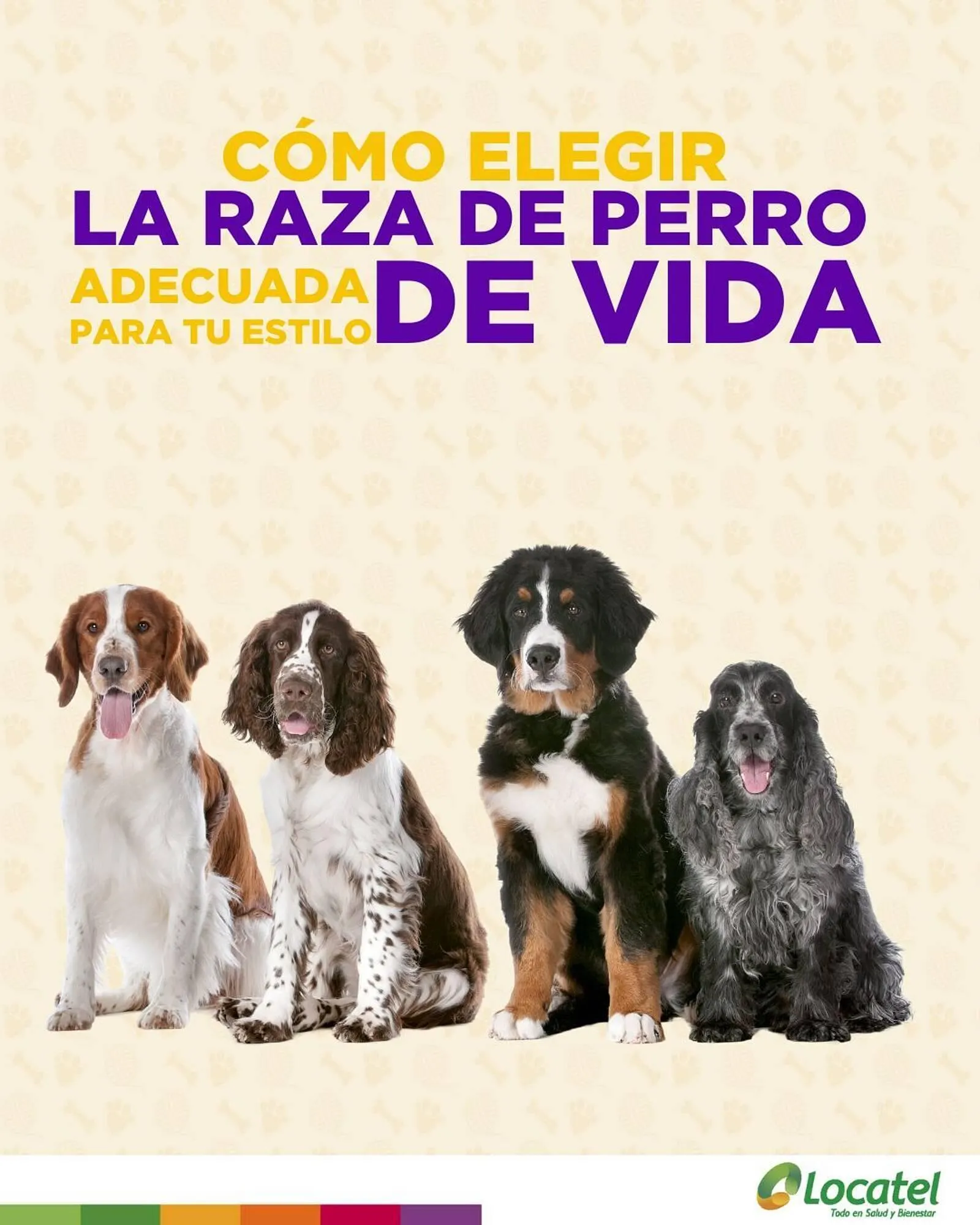 Catalogo de Catálogo Locatel 4 de febrero al 28 de febrero 2025 - Pag 1