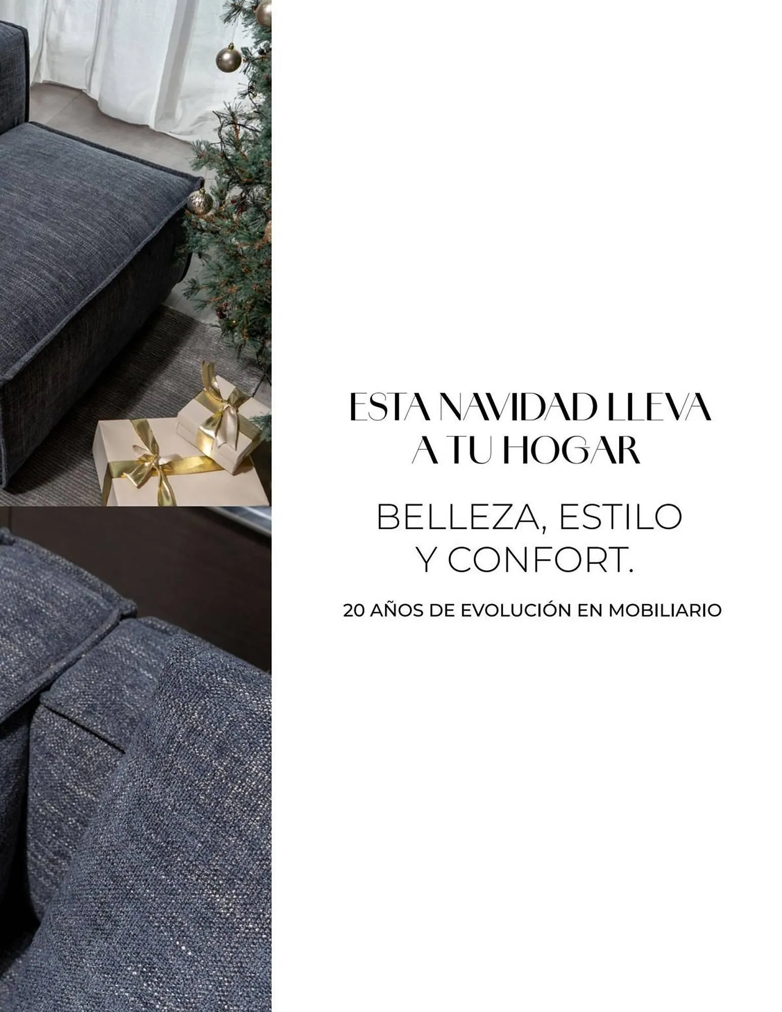 Catalogo de Catálogo Aristas 19 de septiembre al 31 de diciembre 2025 - Pag 41