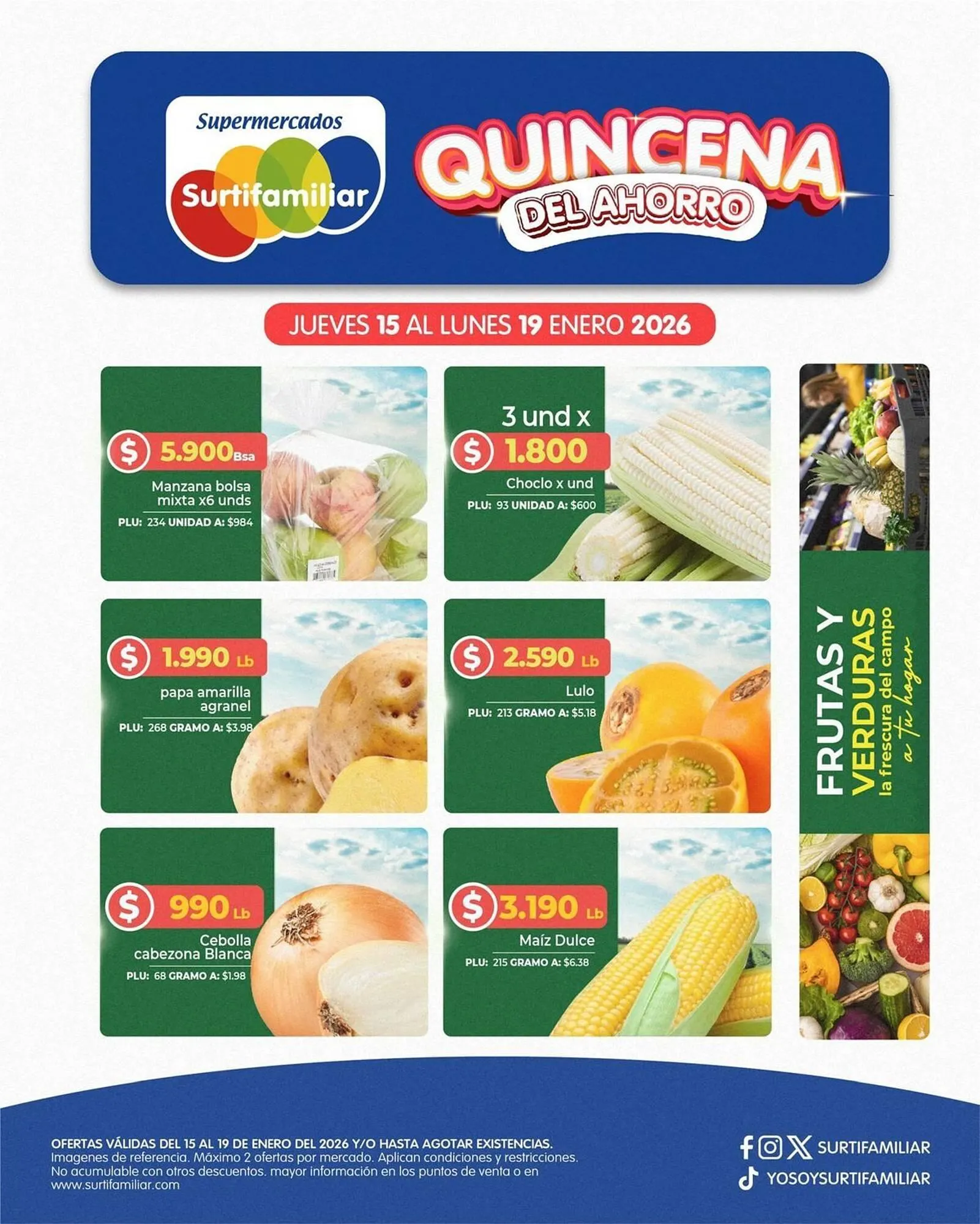 Catalogo de Catálogo Surtifamiliar 15 de enero al 19 de enero 2026 - Pag 2