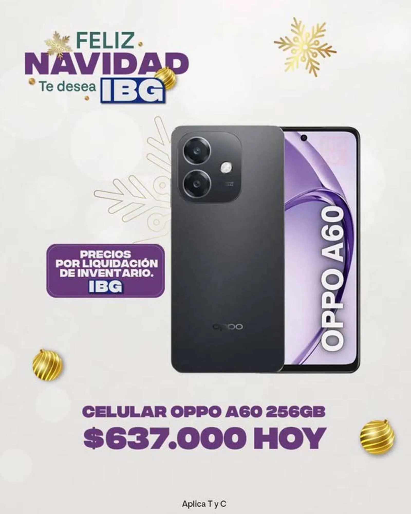 Catalogo de Catálogo IBG 22 de diciembre al 31 de diciembre 2025 - Pag 3