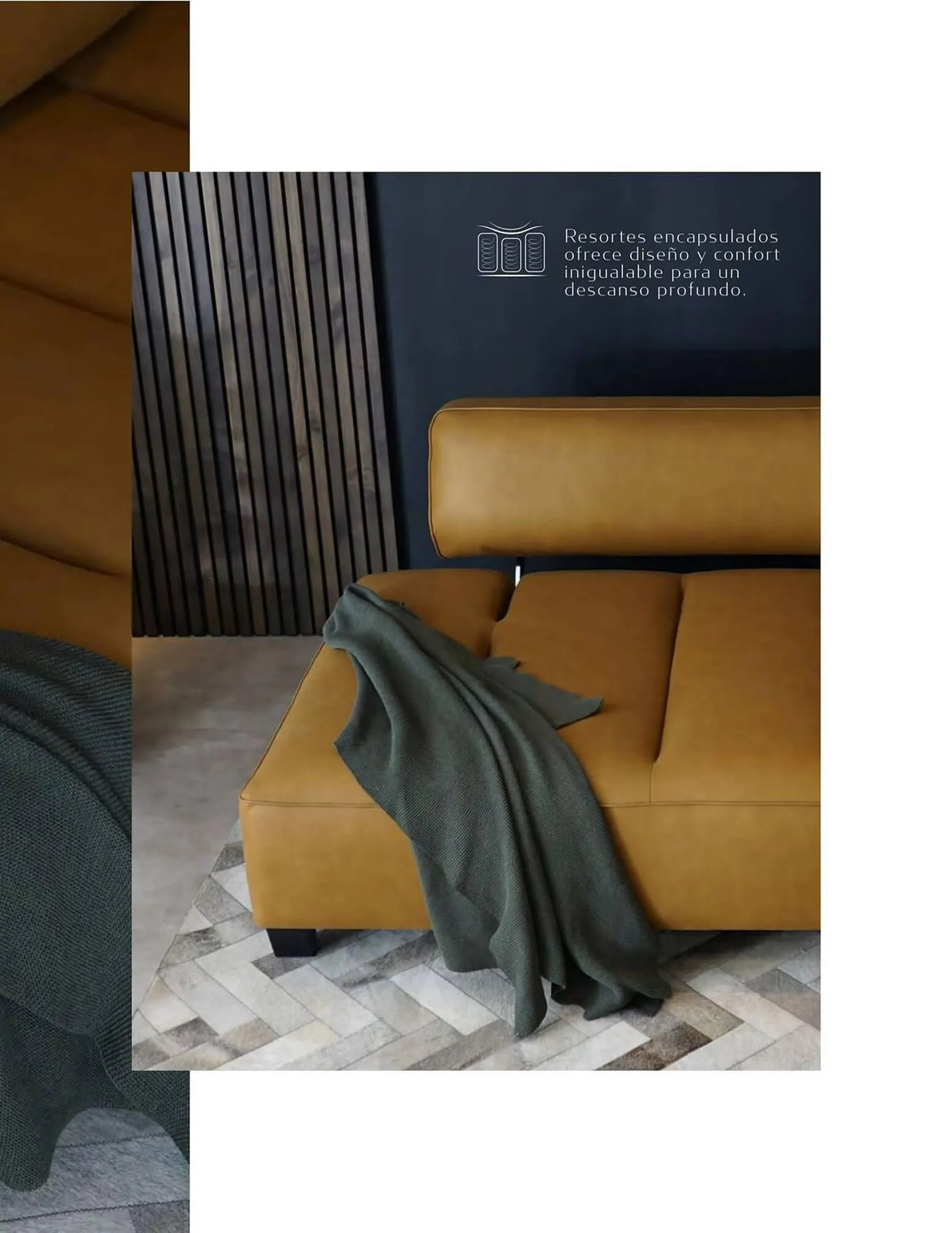 Catalogo de Catálogo Aristas 9 de febrero al 31 de diciembre 2024 - Pag 35