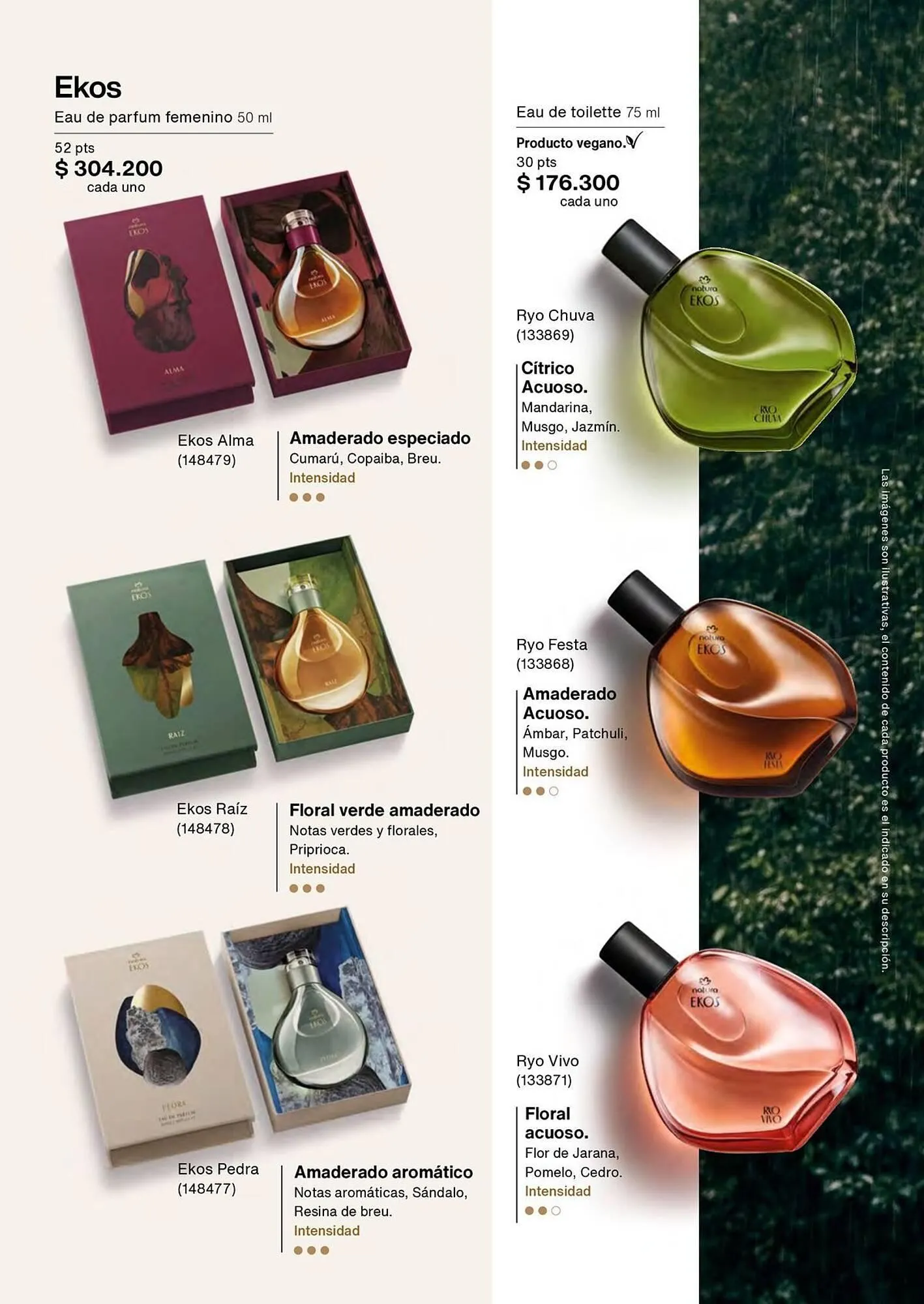 Catalogo de Catálogo Natura 1 de enero al 31 de enero 2026 - Pag 28