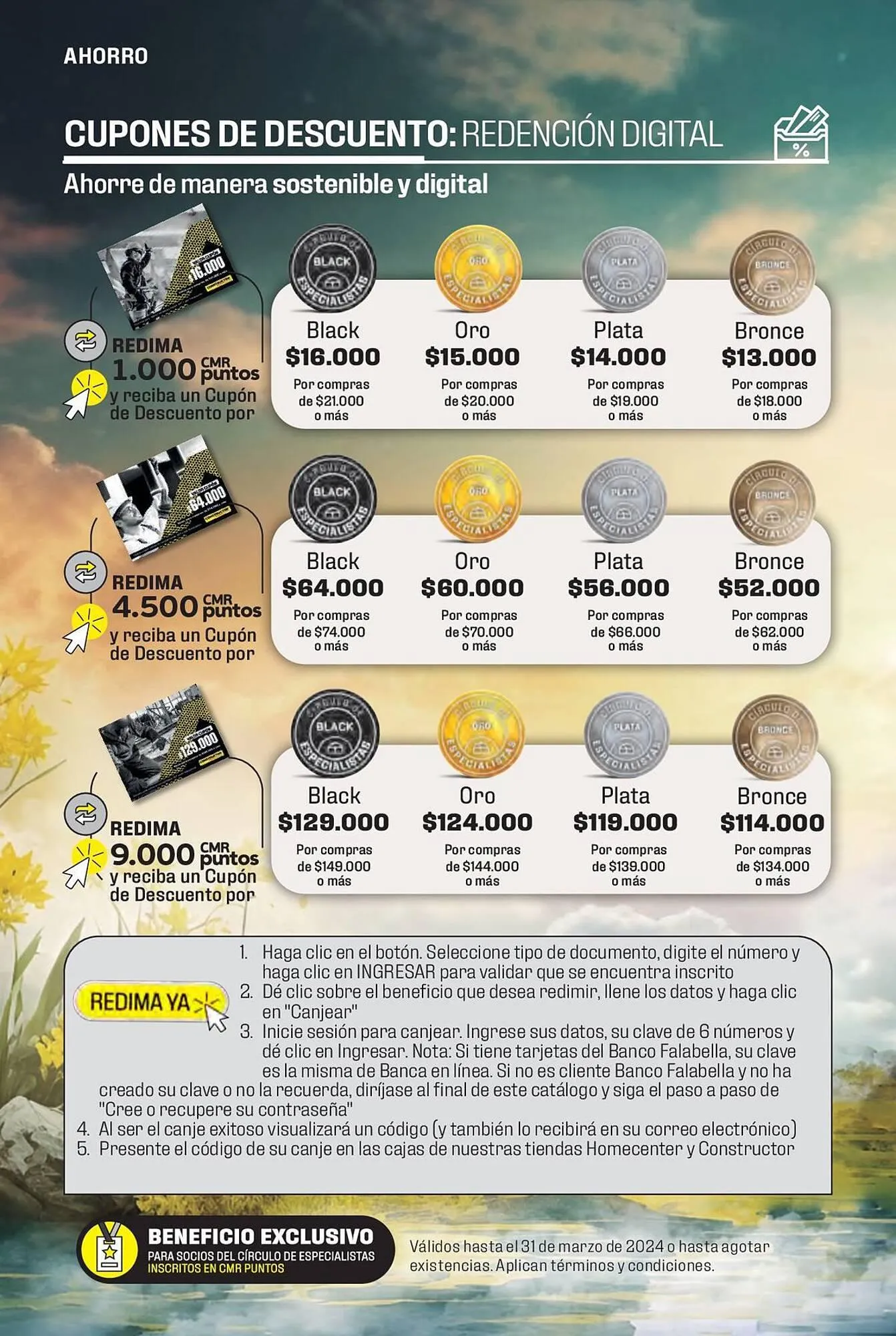 Catalogo de Catálogo Constructor 15 de enero al 31 de marzo 2024 - Pag 5