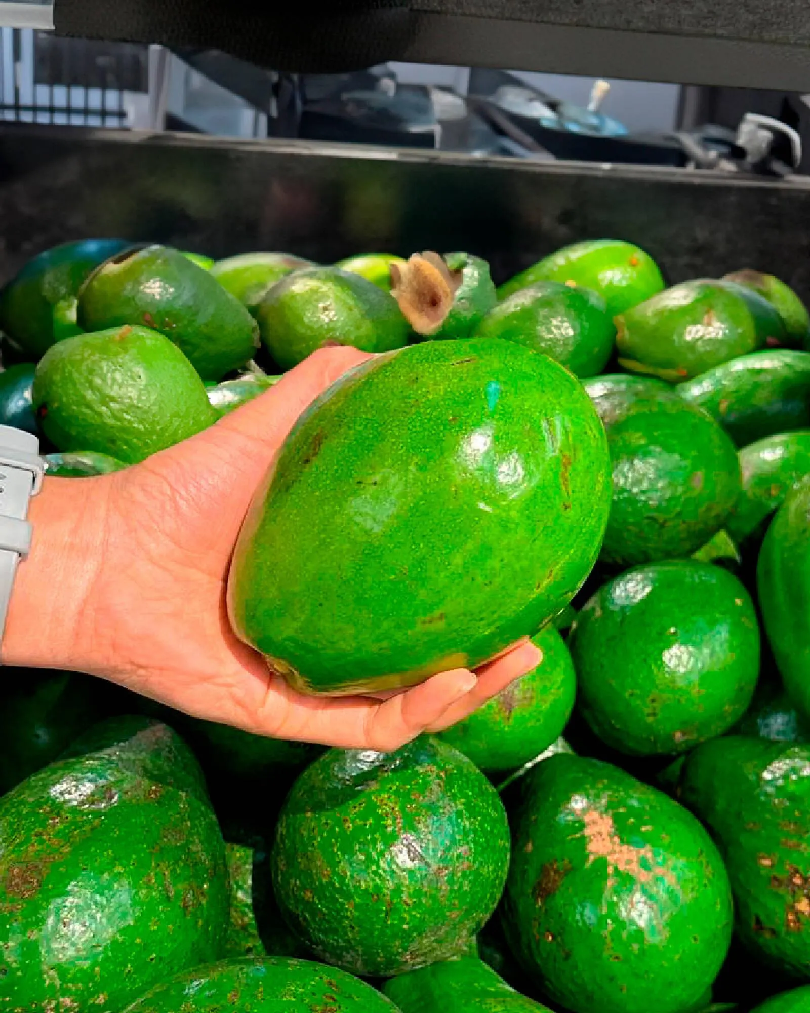 Catalogo de Catálogo Carulla 29 de abril al 5 de mayo 2025 - Pag 3