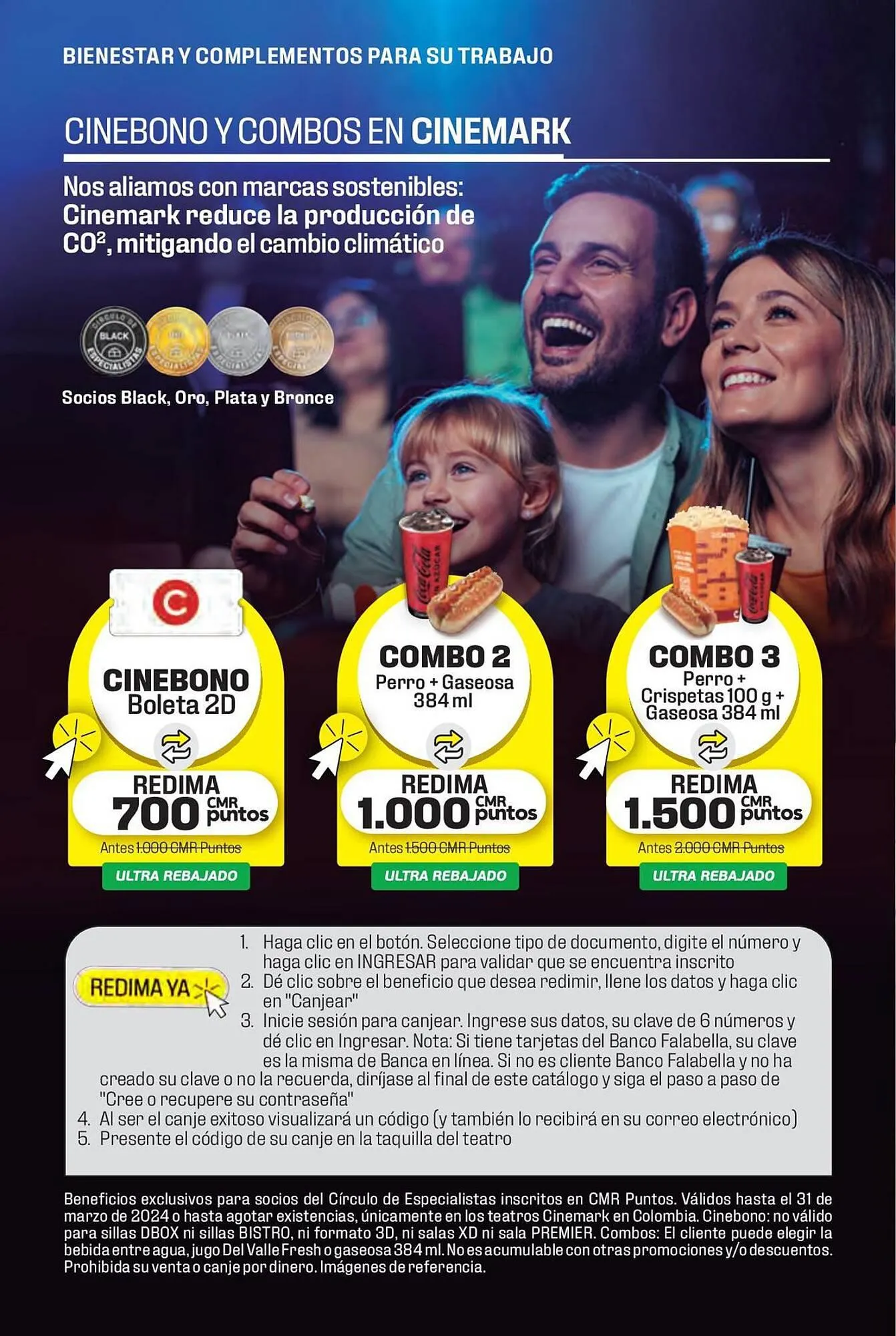 Catalogo de Catálogo Constructor 15 de enero al 31 de marzo 2024 - Pag 12