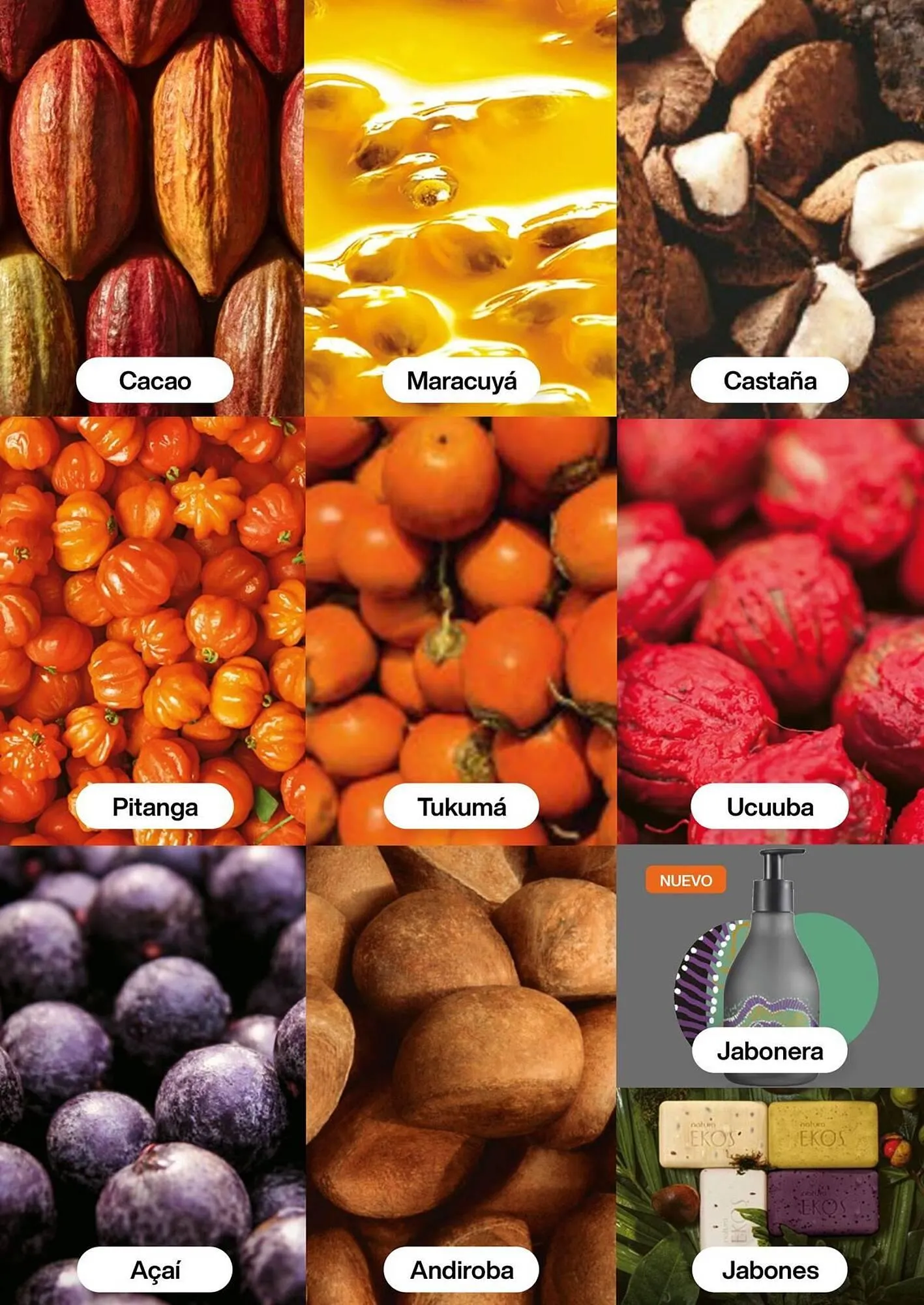 Catalogo de Catálogo Natura 1 de febrero al 28 de febrero 2026 - Pag 111