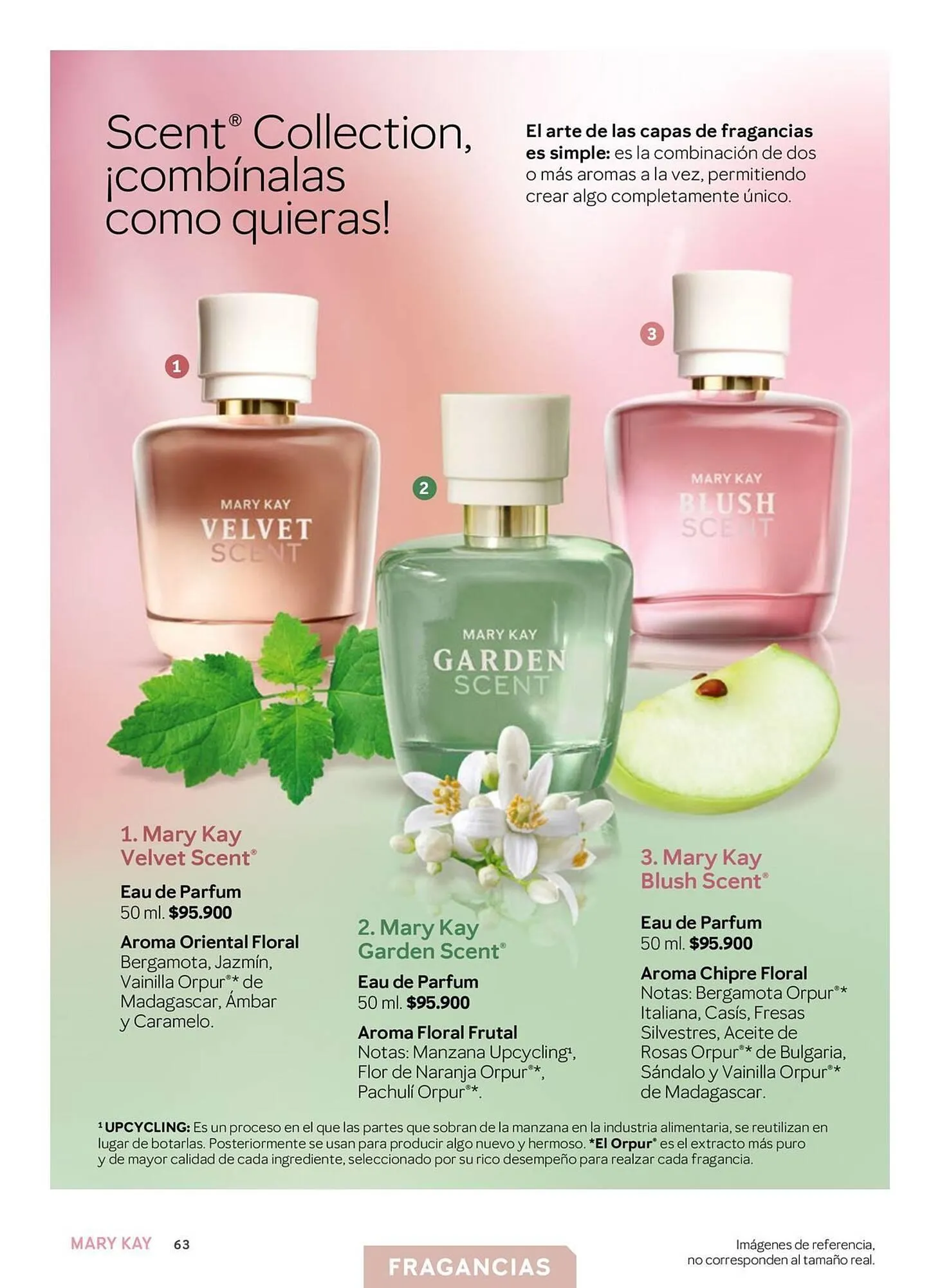 Catalogo de Catálogo Mary Kay 25 de marzo al 30 de abril 2025 - Pag 63