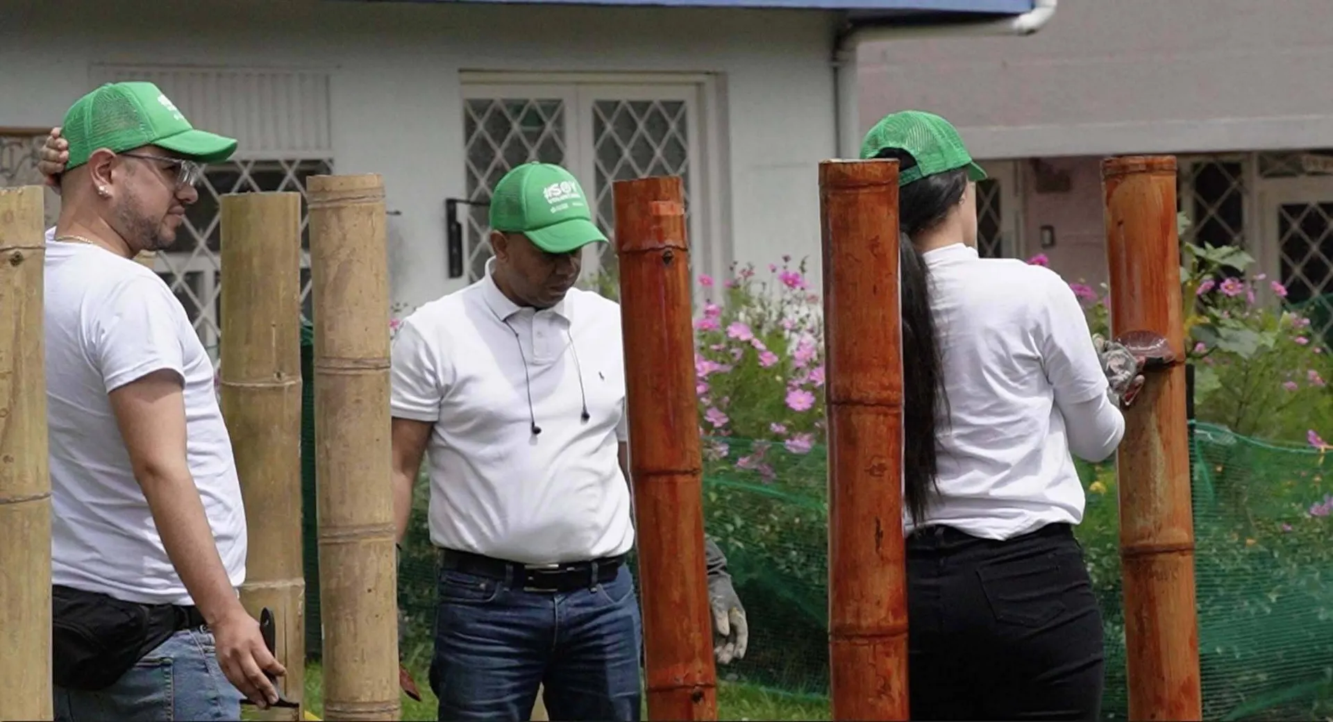 Catálogo Cruz verde - 1