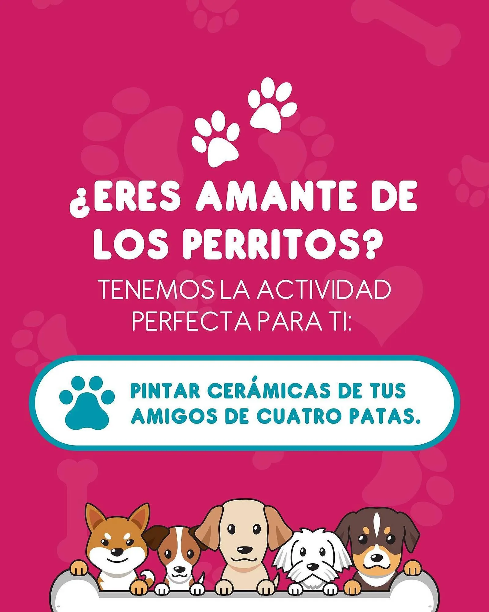 Catálogo Bodegas Ilusión - 1