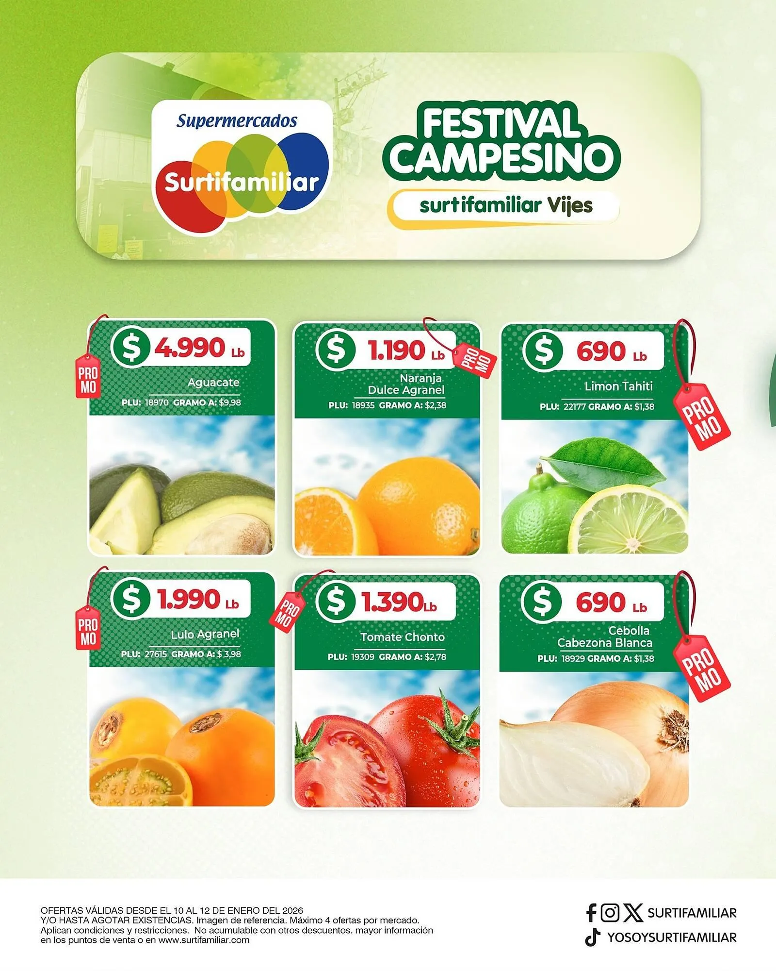 Catalogo de Catálogo Surtifamiliar 10 de enero al 12 de enero 2026 - Pag 2