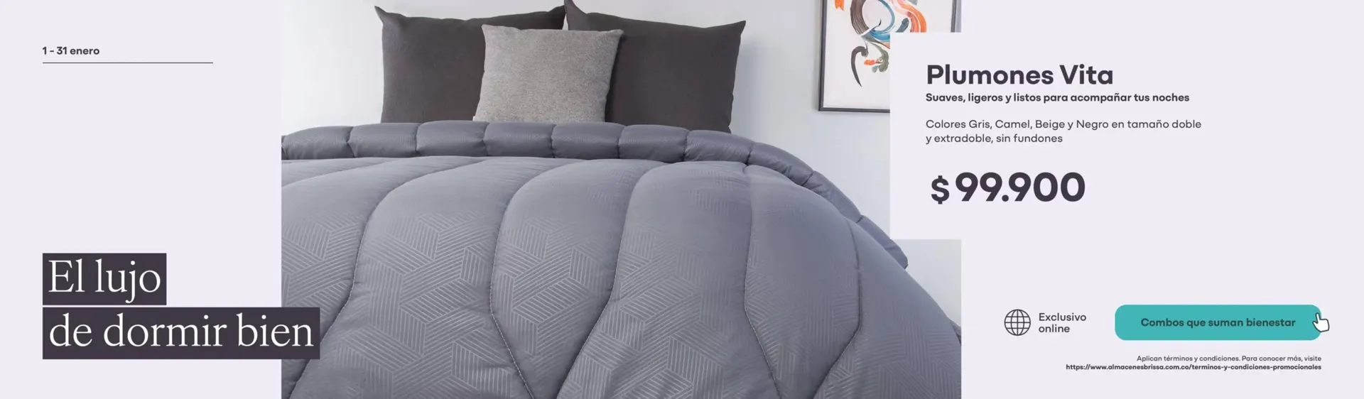 Catalogo de Catálogo Brissa 2 de enero al 12 de enero 2026 - Pag 2