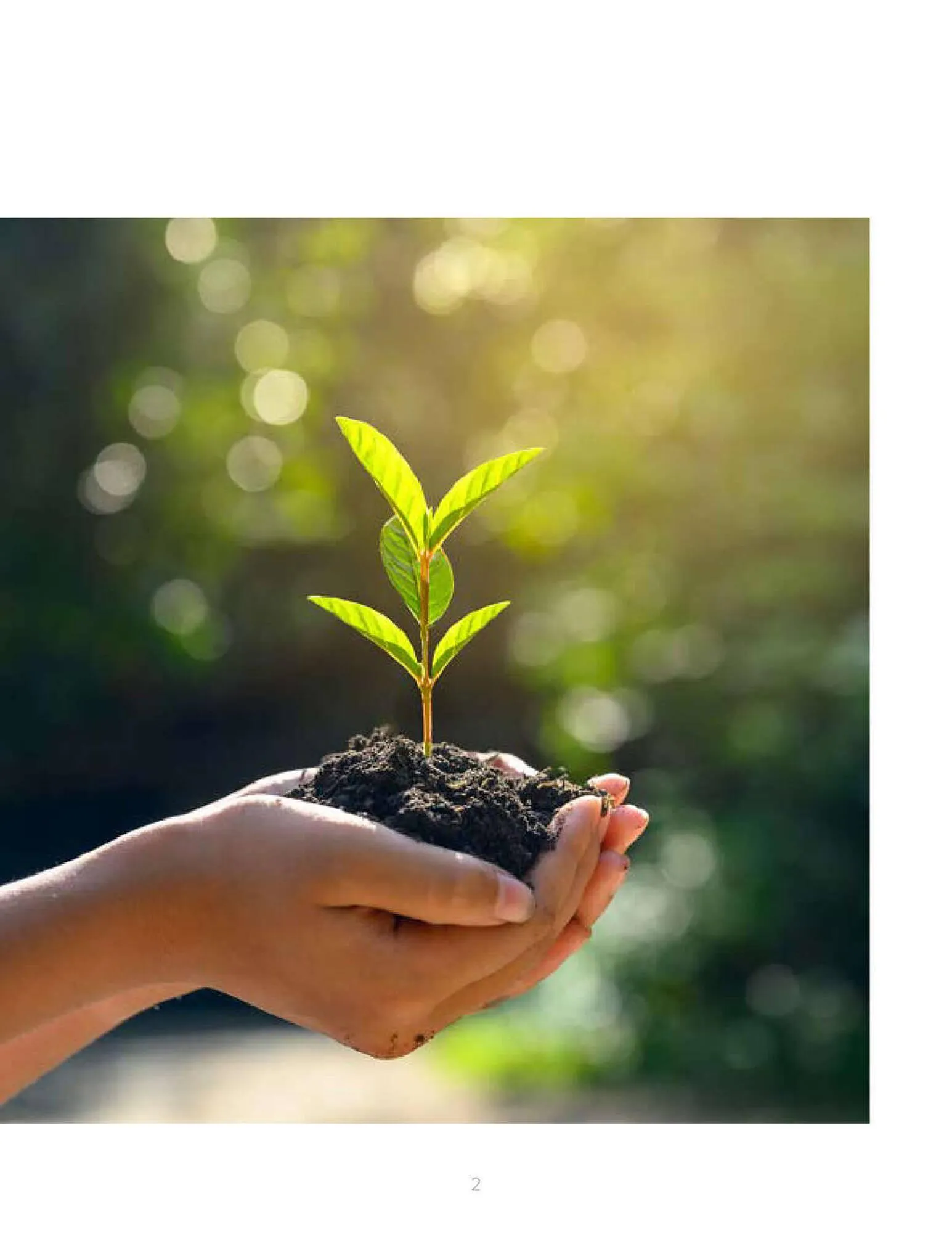 Catalogo de Catálogo Corona Centro de Inspiración 30 de junio al 28 de junio 2024 - Pag 2