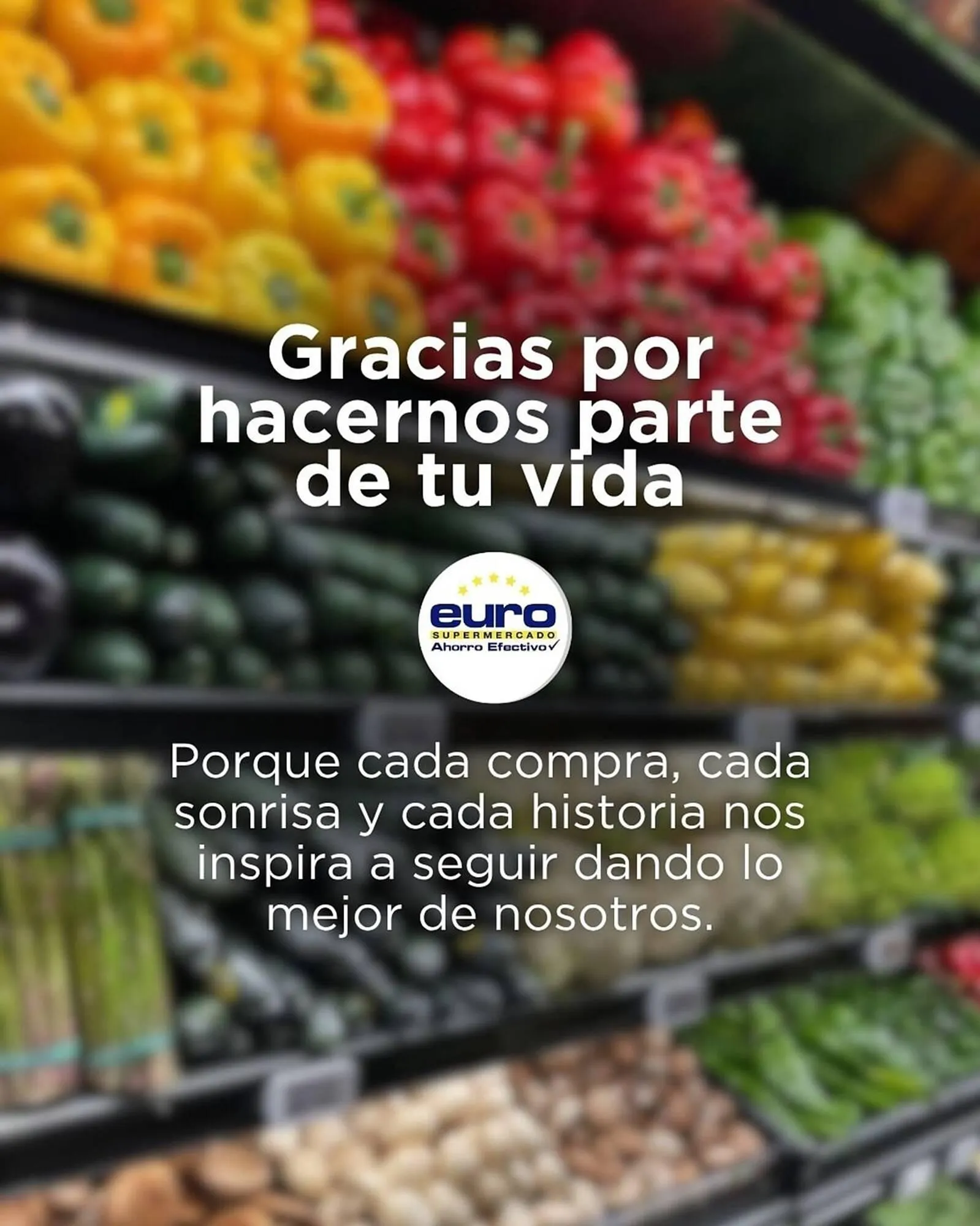 Catalogo de Catálogo Euro Supermercados 26 de noviembre al 31 de diciembre 2025 - Pag 3