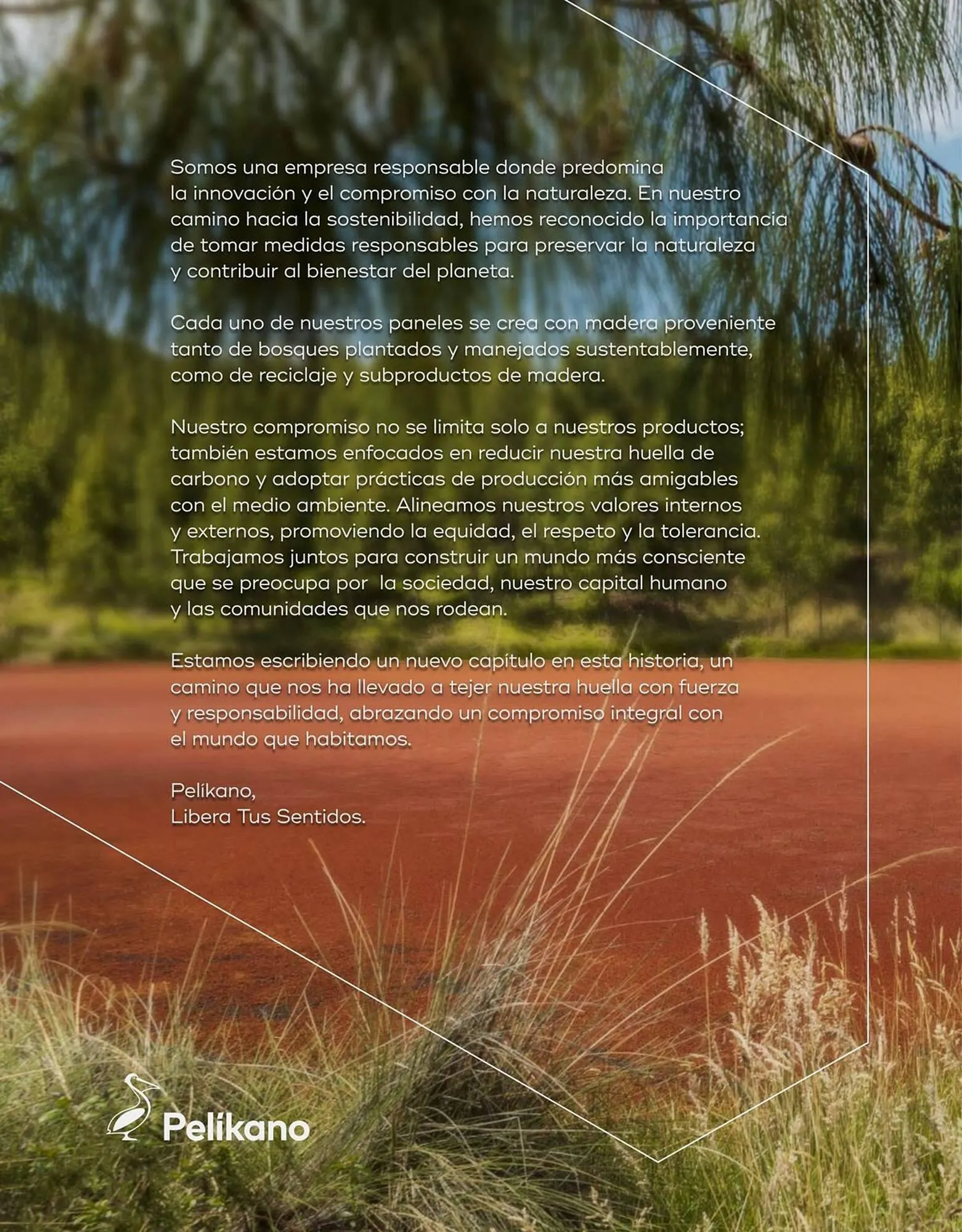 Catalogo de Catálogo Madecentro 17 de noviembre al 31 de enero 2024 - Pag 12