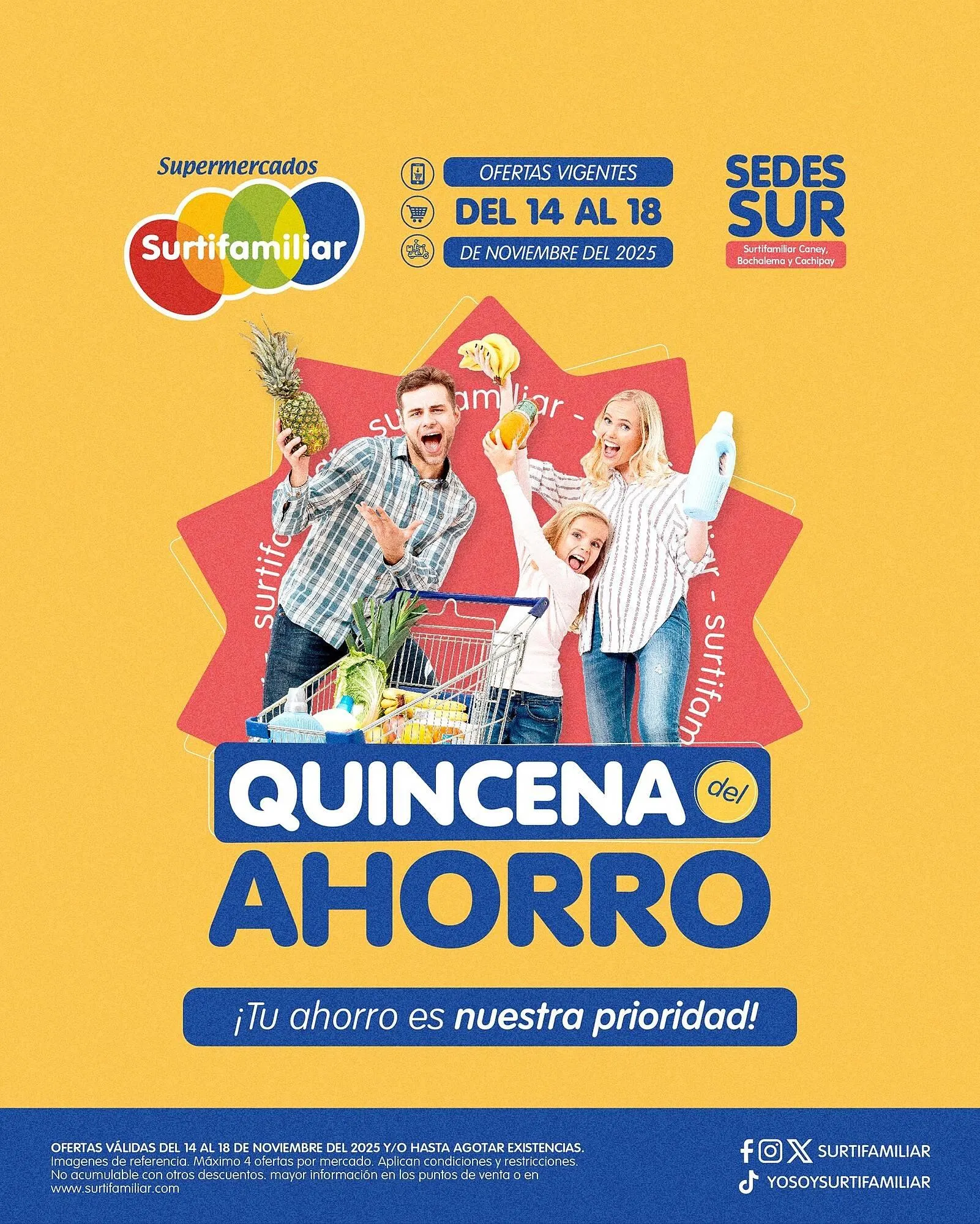 Catalogo de Catálogo Surtifamiliar 14 de noviembre al 18 de noviembre 2025 - Pag 1