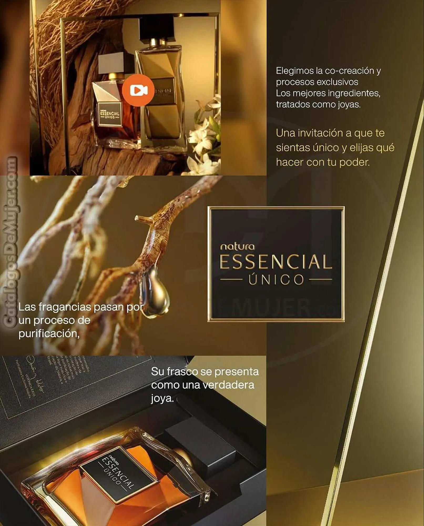 Catalogo de Catálogo Natura 31 de agosto al 2 de septiembre 2023 - Pag 2