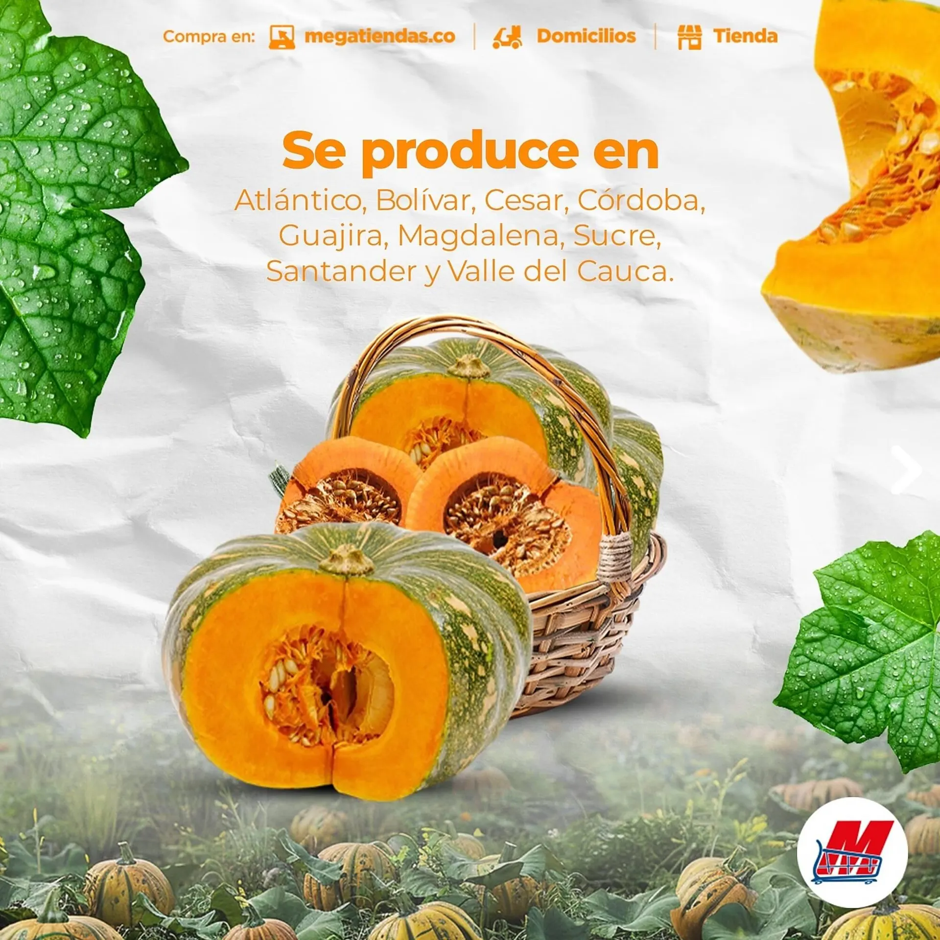 Catalogo de Catálogo MegaTiendas 10 de marzo al 16 de marzo 2025 - Pag 3