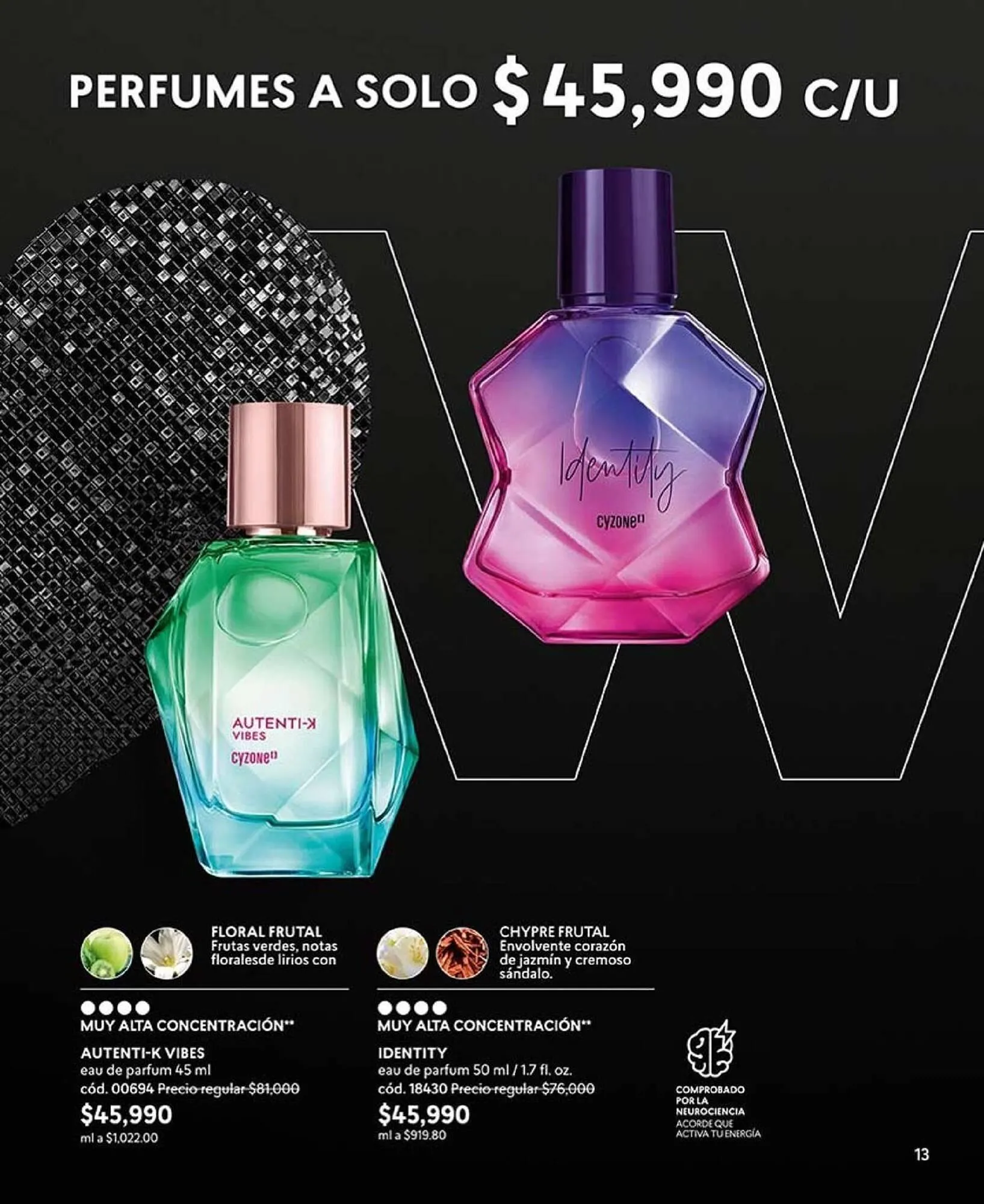 Catalogo de Catálogo Cyzone 8 de marzo al 31 de marzo 2025 - Pag 13