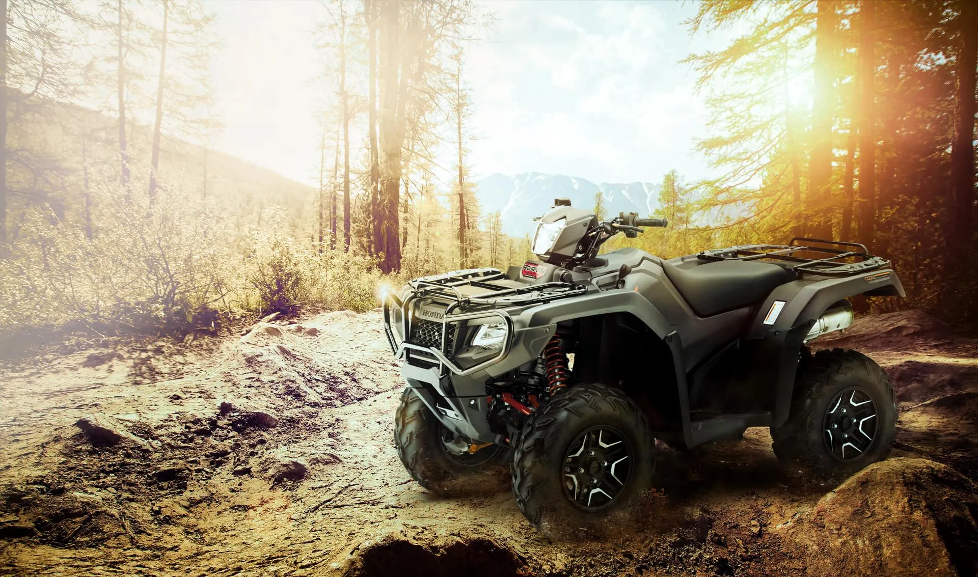 TRX 520 Rubicon Modelo 2024