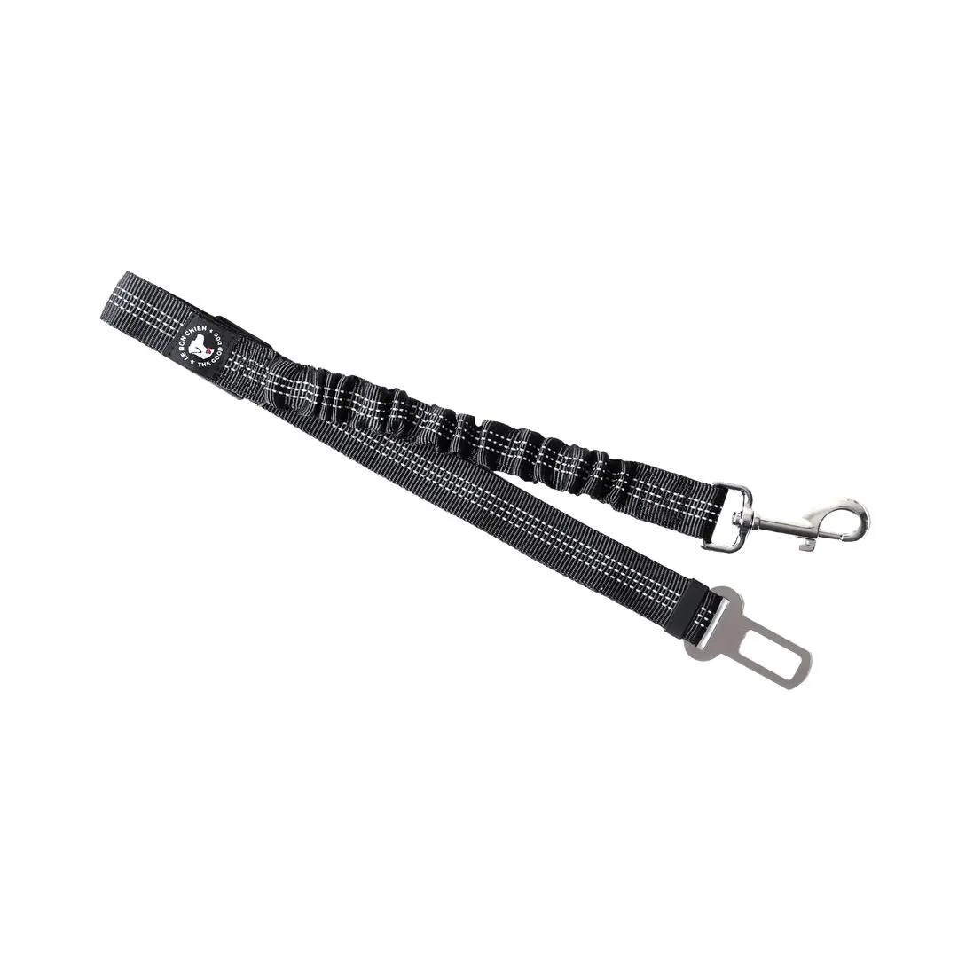 Laisse bungee de voiture pour chiens
