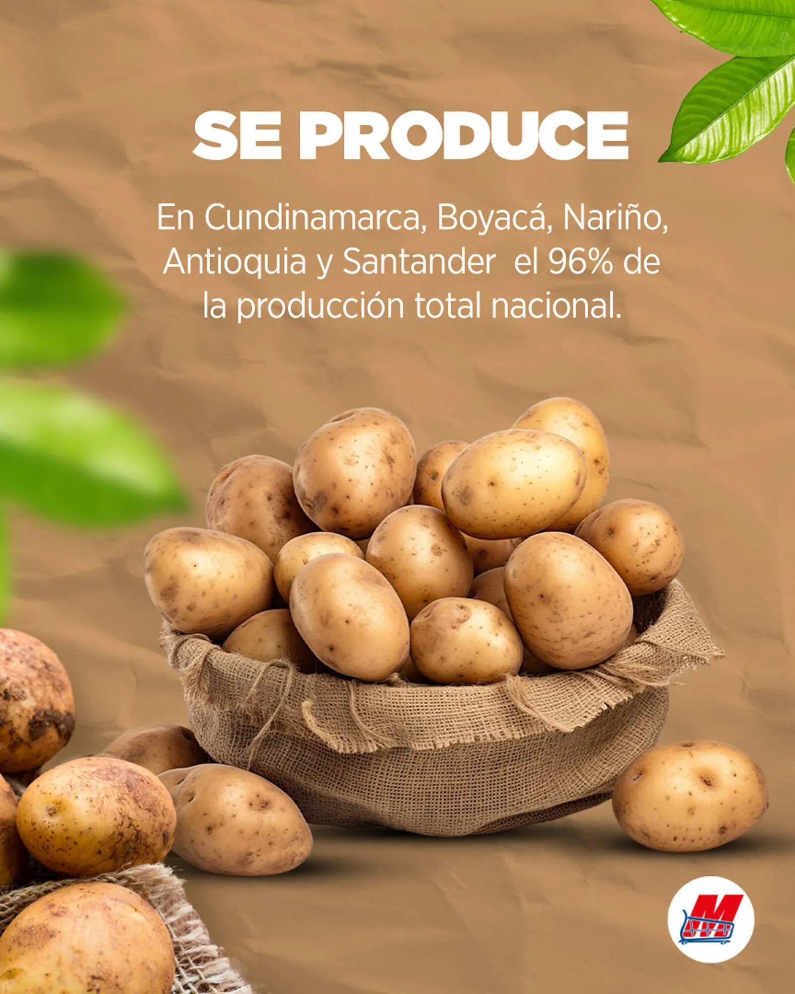 Catalogo de Catálogo MegaTiendas 14 de abril al 20 de abril 2025 - Pag 3