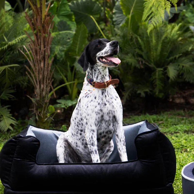 CAMA PARA MASCOTAS GRANDE RECTANGULAR NEGRO Y GRIS