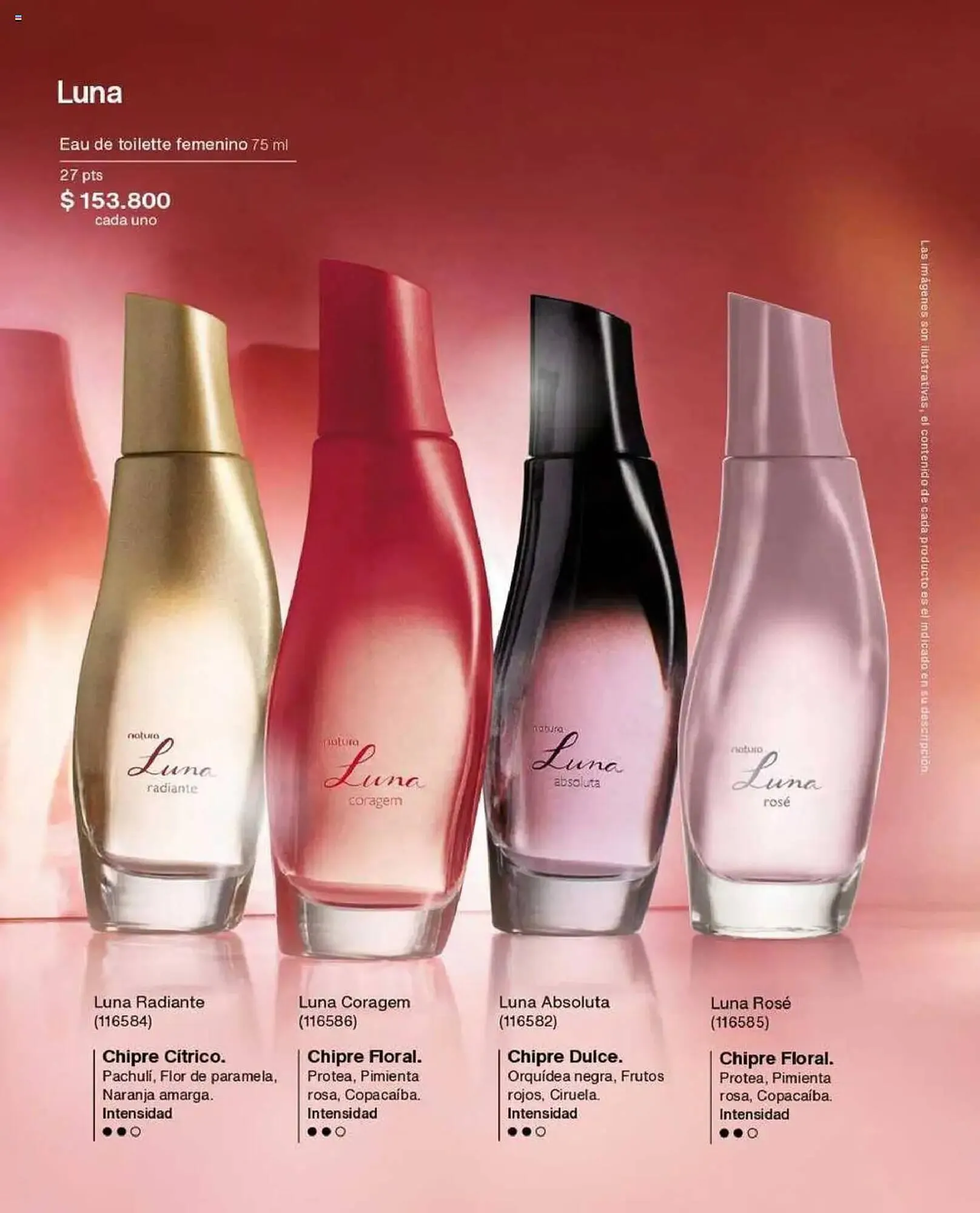 Catalogo de Catálogo Natura 11 de junio al 15 de julio 2025 - Pag 21