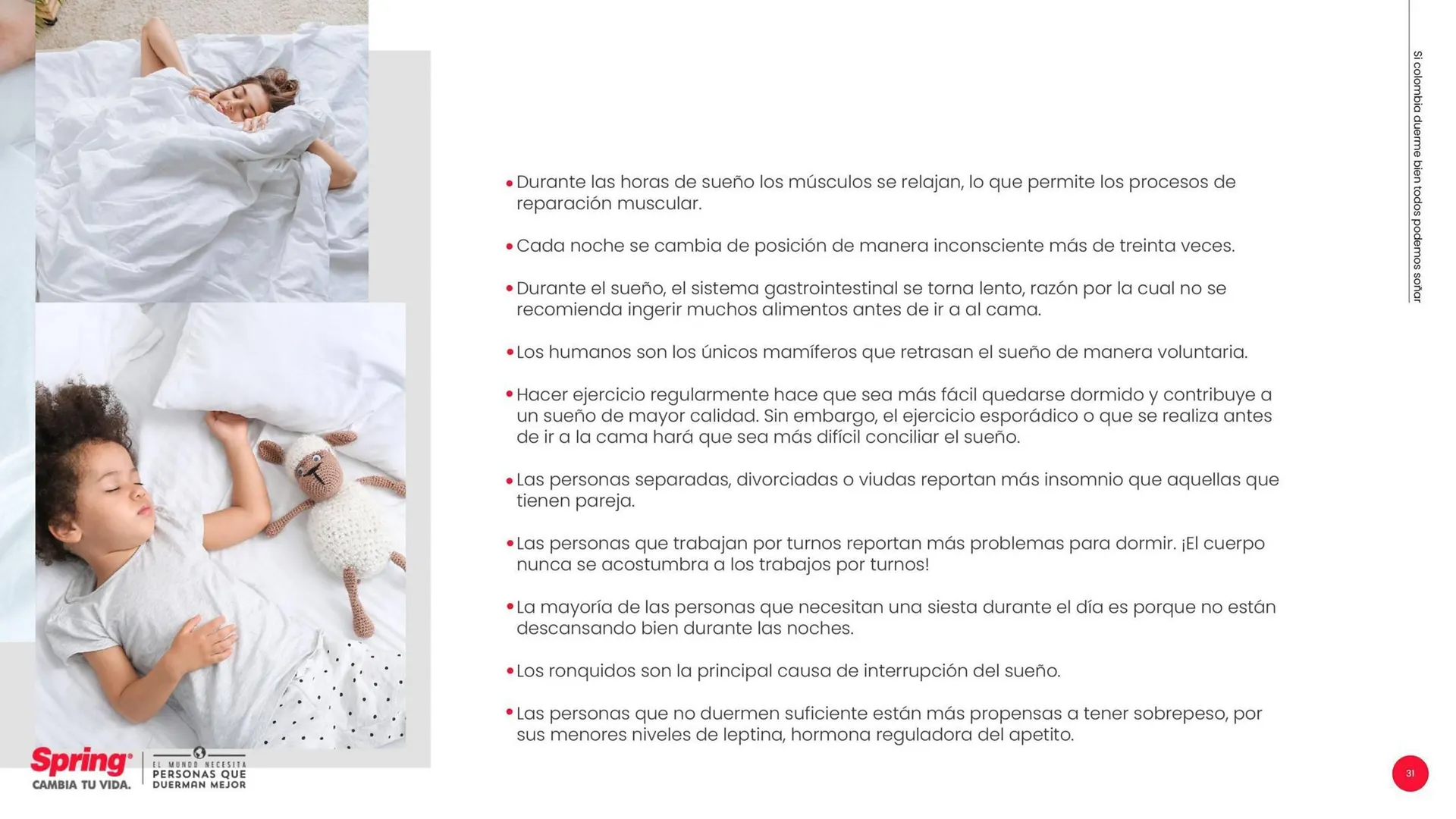 Catalogo de Catálogo Colchones Spring 3 de septiembre al 30 de septiembre 2025 - Pag 31