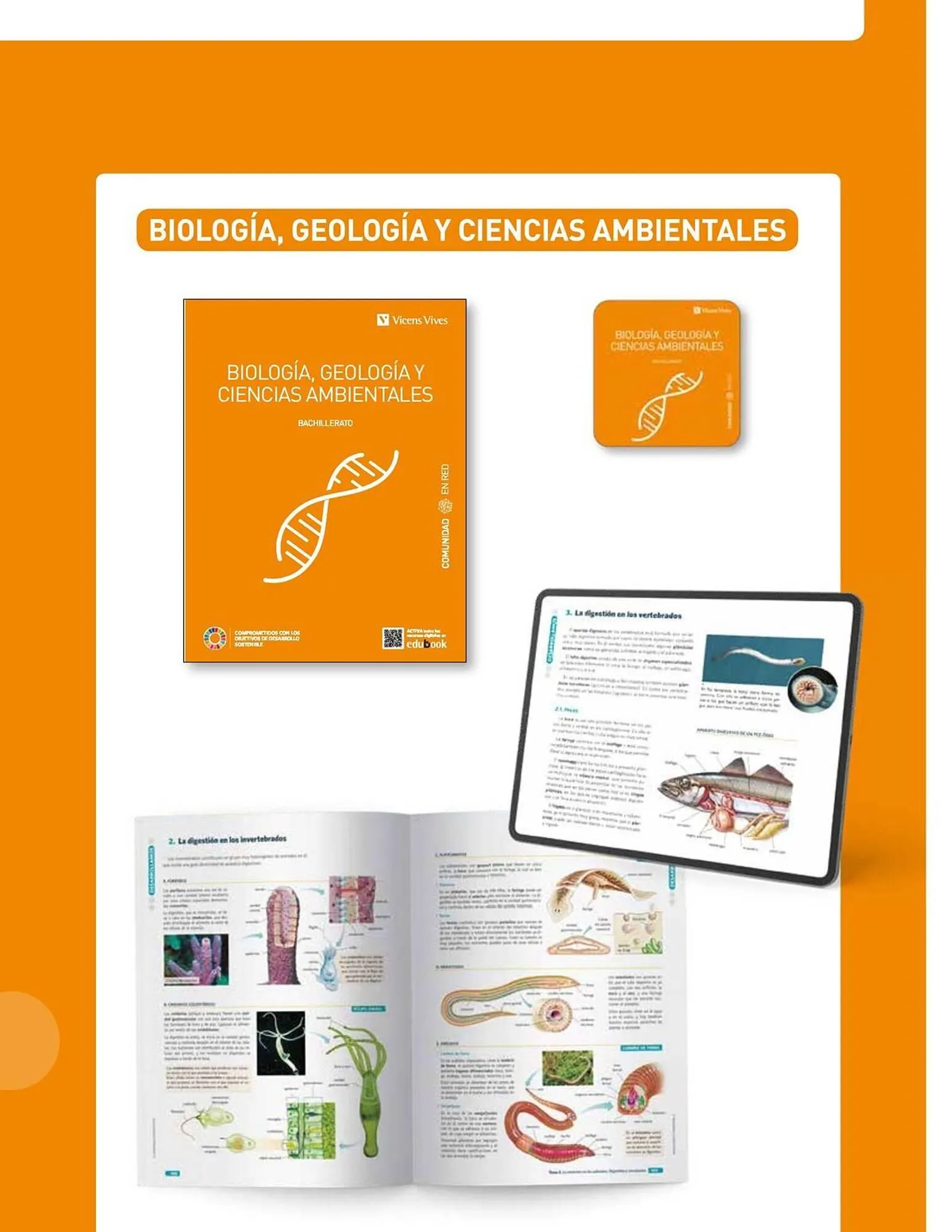 Catalogo de Catálogo Vicens Vives 20 de abril al 31 de mayo 2026 - Pag 9