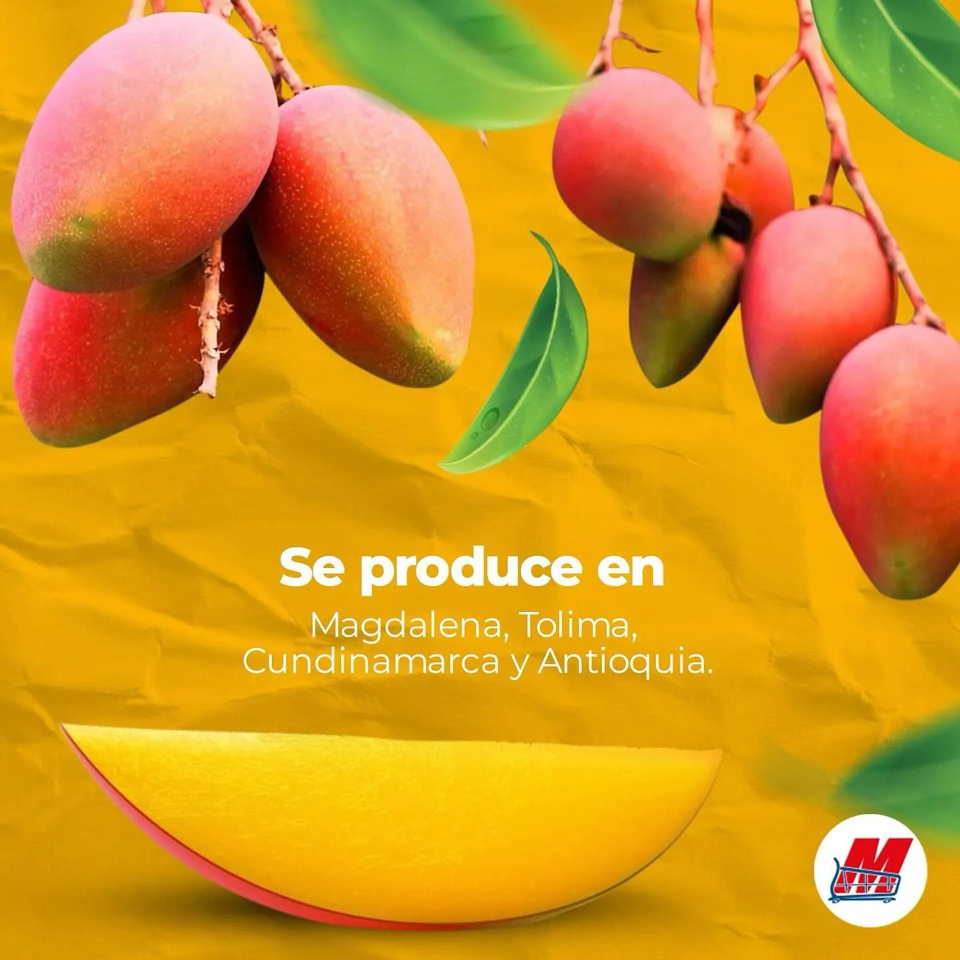 Catalogo de Catálogo MegaTiendas 21 de enero al 25 de enero 2025 - Pag 3