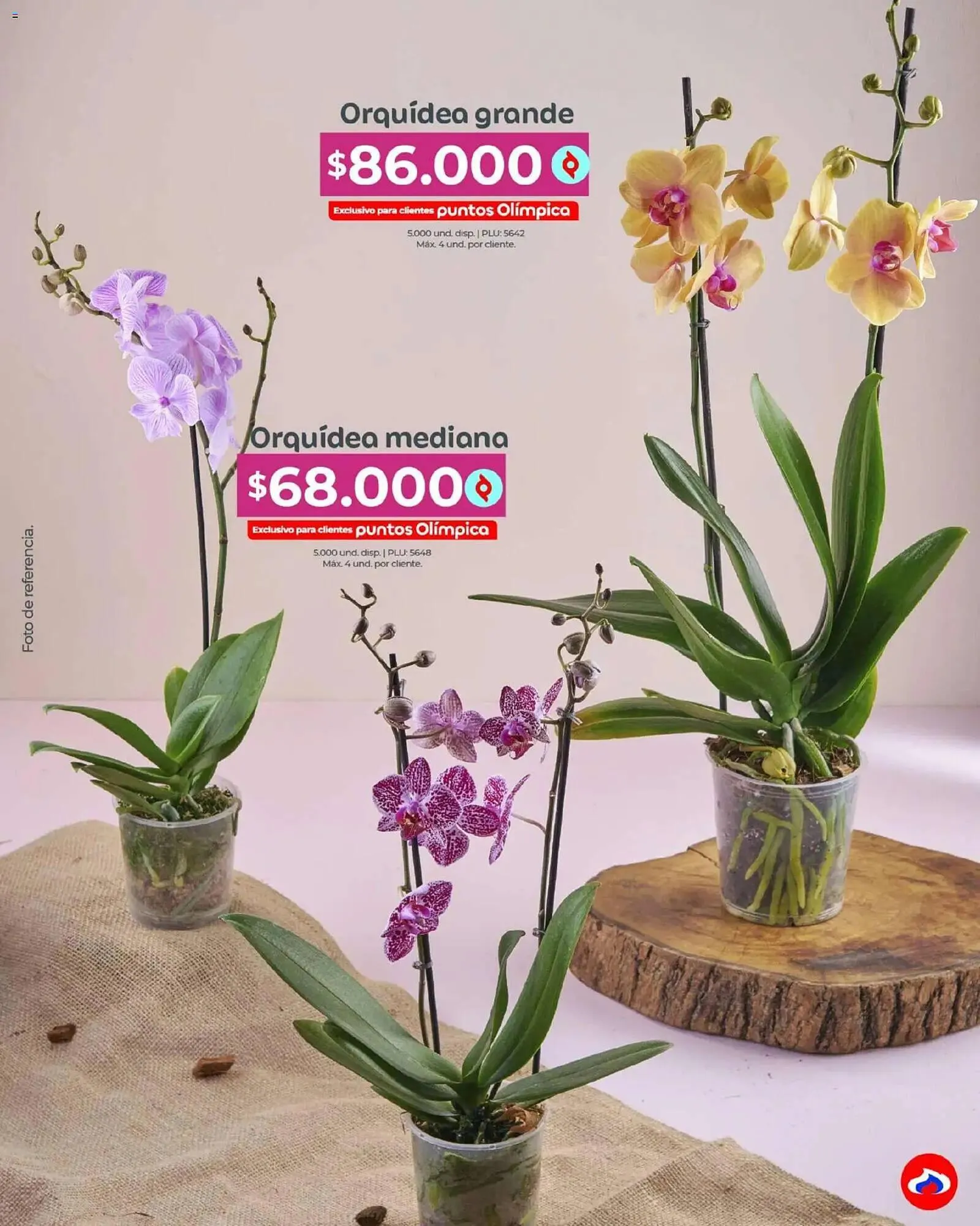 Catalogo de Catálogo Olímpica 4 de mayo al 31 de mayo 2026 - Pag 35