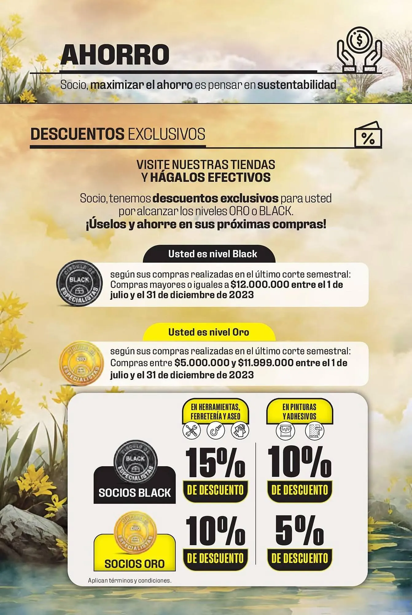 Catalogo de Catálogo Constructor 15 de enero al 31 de marzo 2024 - Pag 3