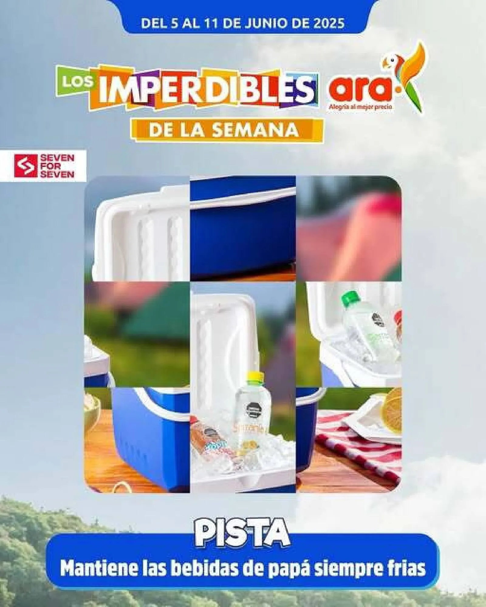 Catalogo de Catálogo Ara 5 de junio al 11 de junio 2025 - Pag 1