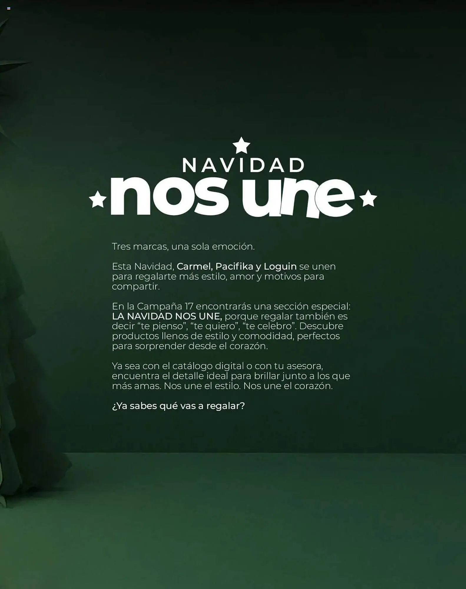 Catalogo de Catálogo Carmel 25 de septiembre al 1 de enero 2026 - Pag 163