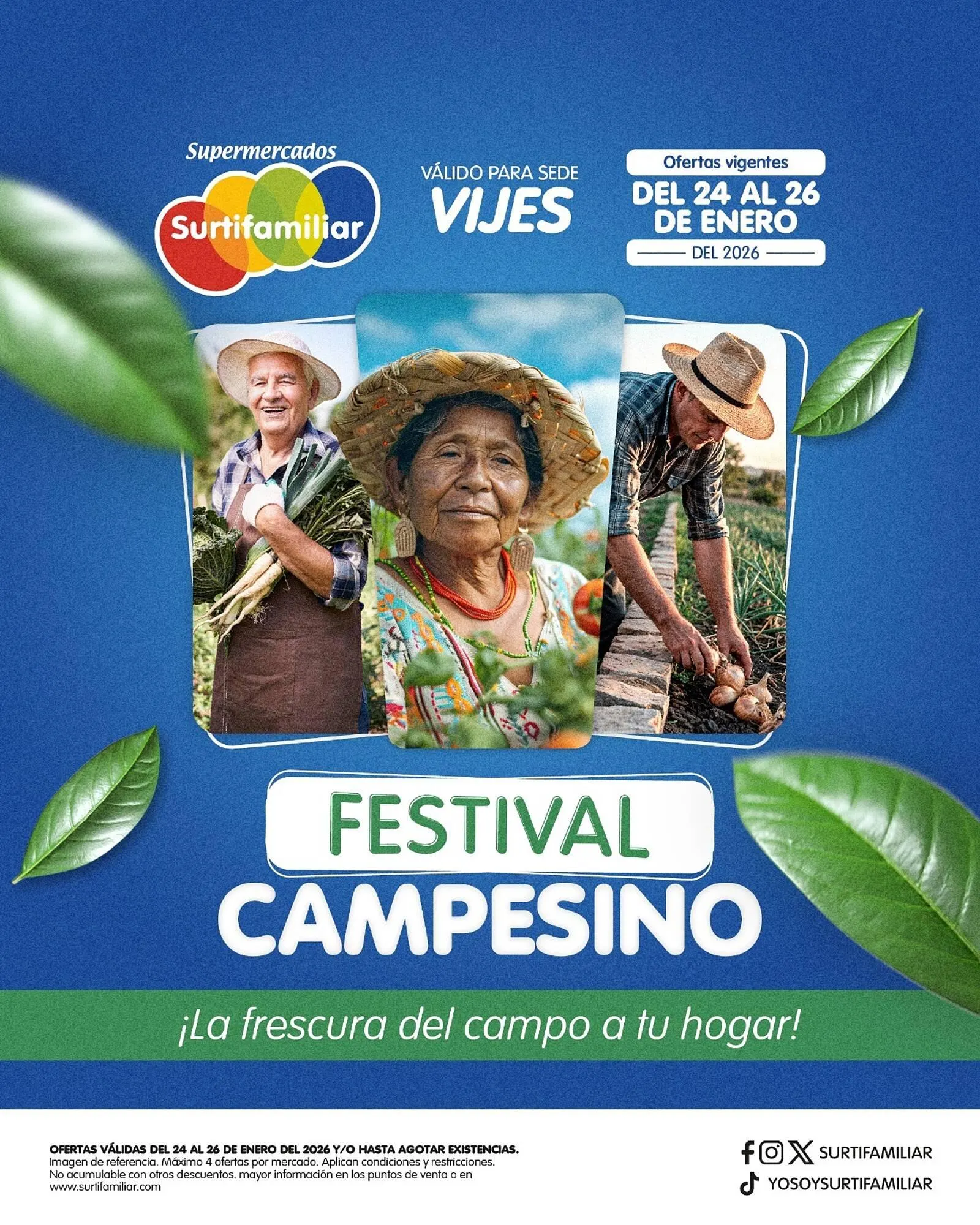 Catálogo Surtifamiliar - 1