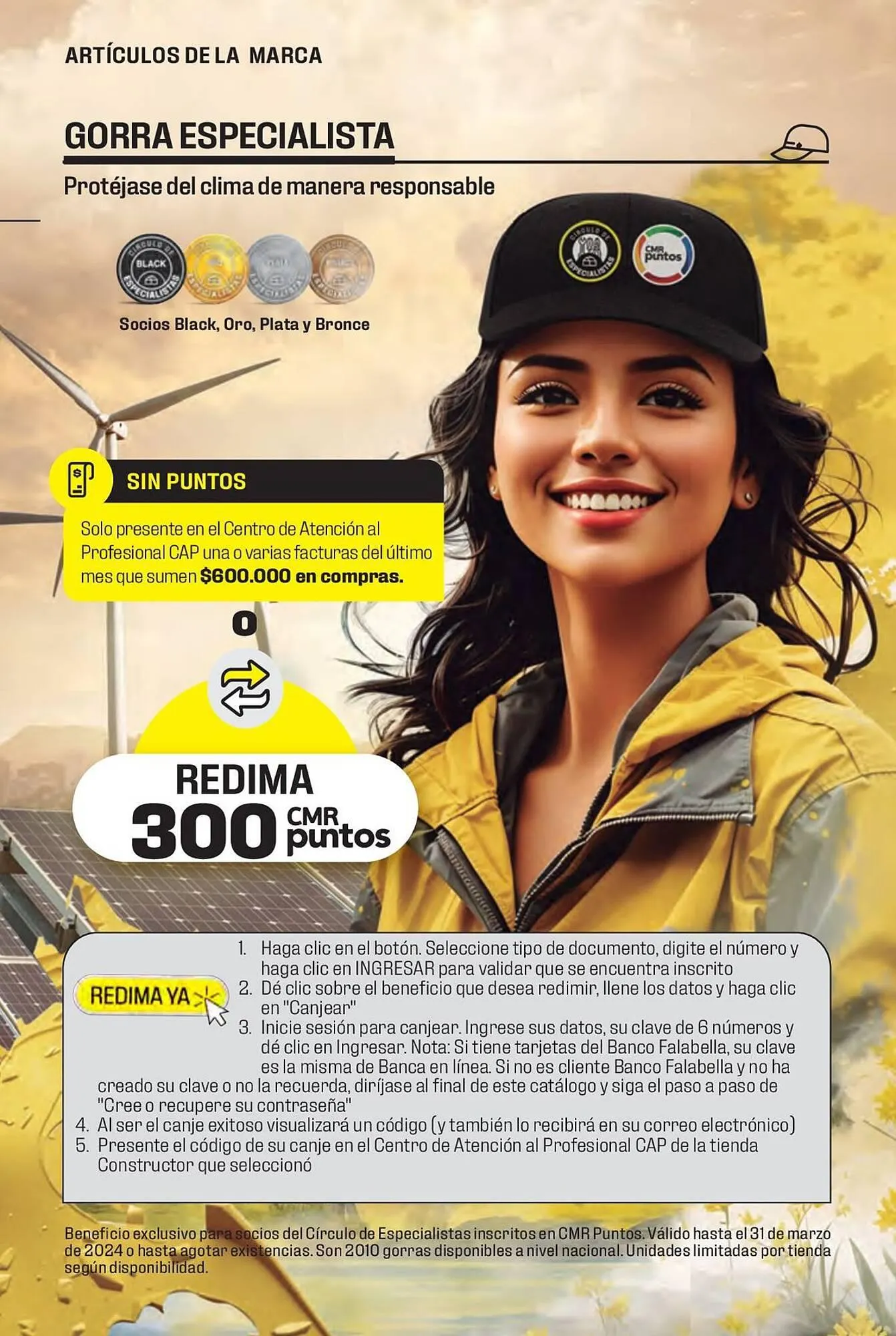 Catalogo de Catálogo Constructor 15 de enero al 31 de marzo 2024 - Pag 17