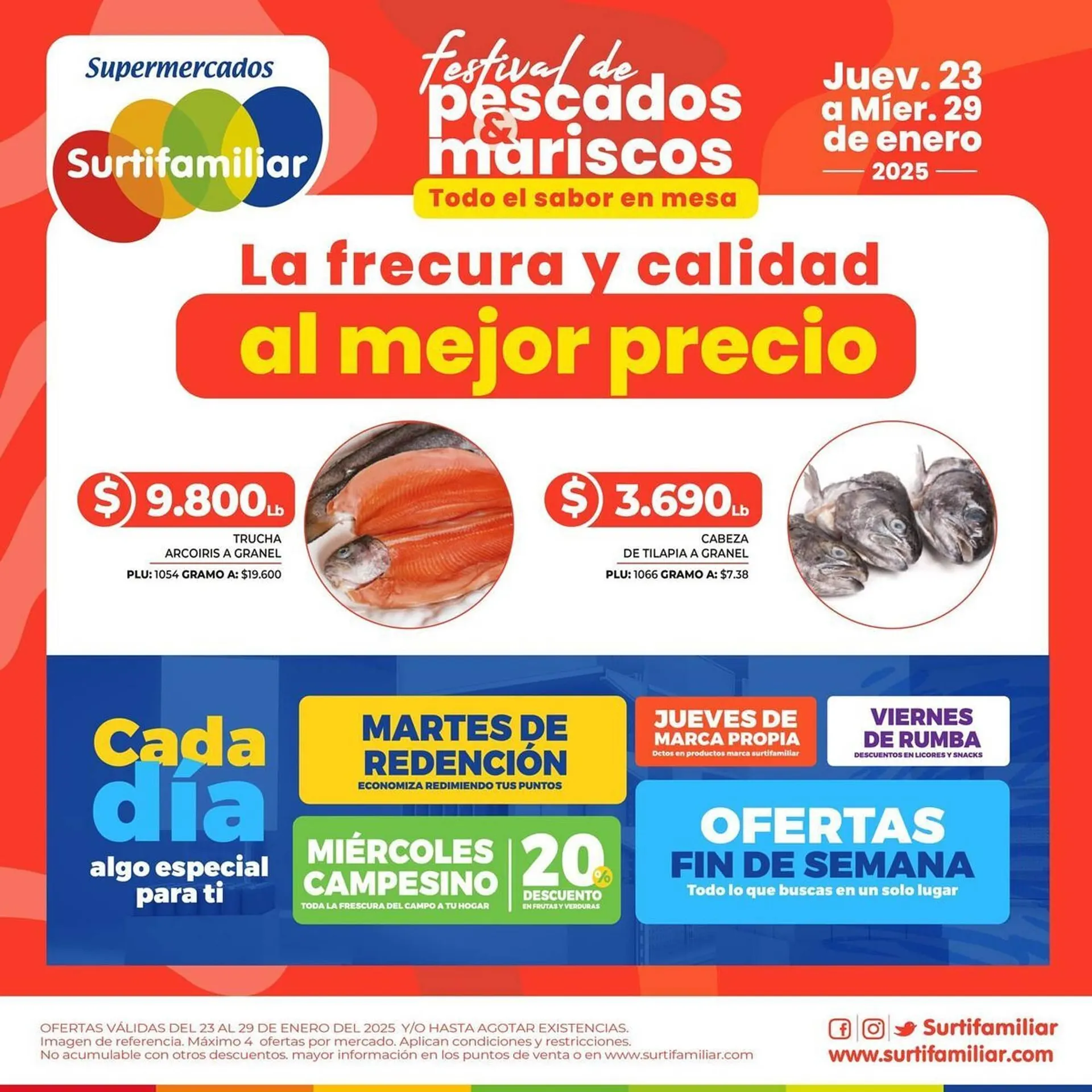 Catalogo de Catálogo Surtifamiliar 23 de enero al 7 de febrero 2025 - Pag 3