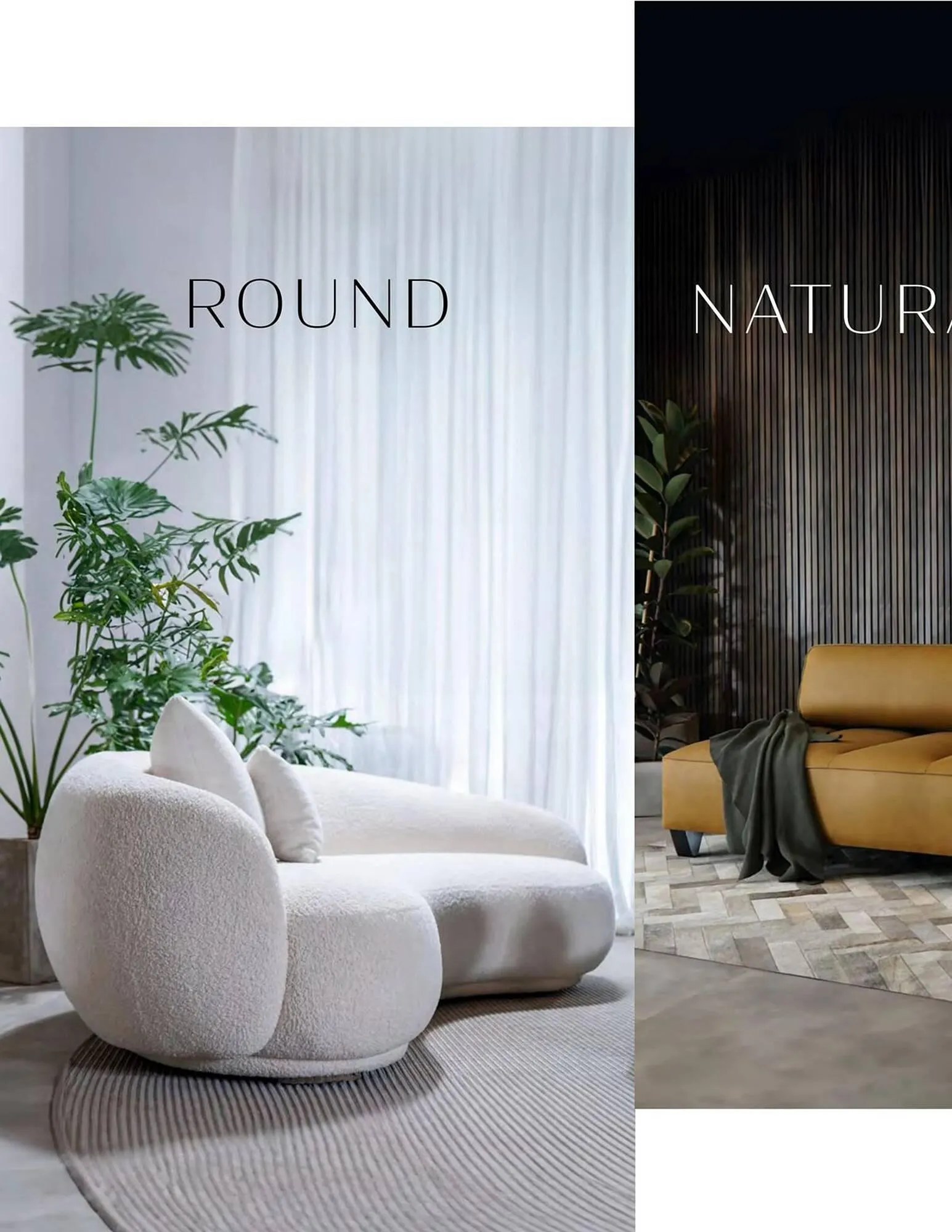 Catalogo de Catálogo Aristas 9 de febrero al 31 de diciembre 2024 - Pag 2