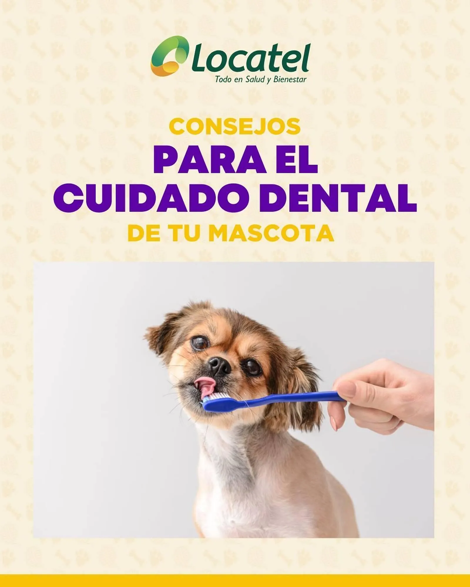 Catálogo Locatel - 1