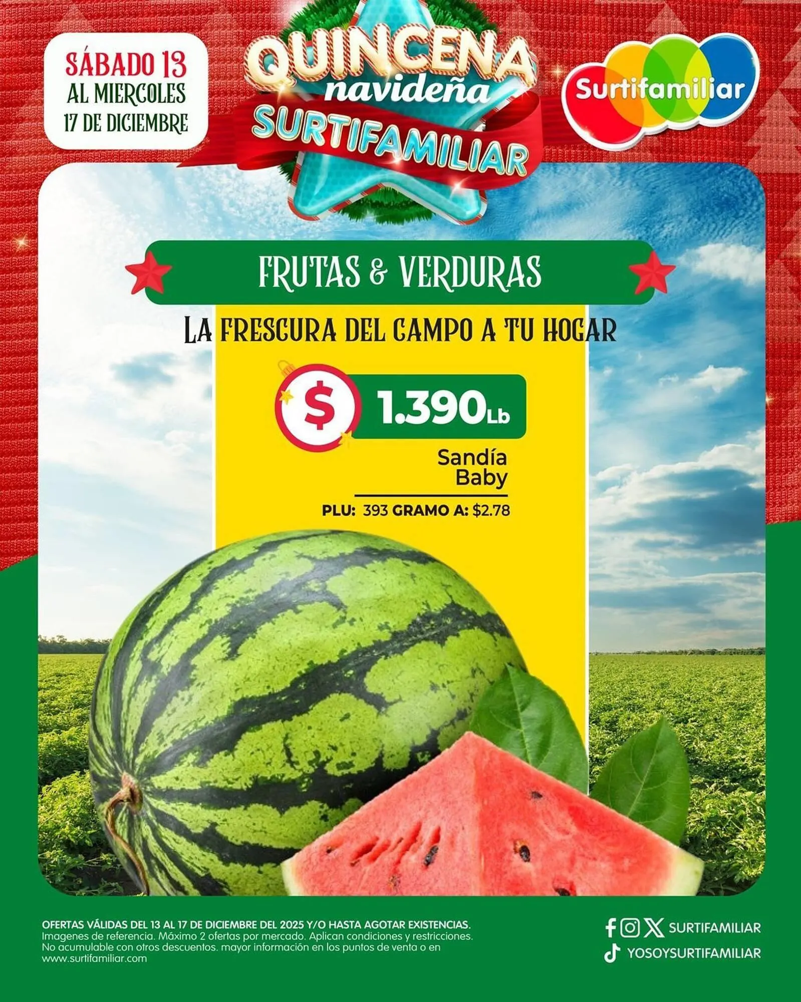 Catalogo de Catálogo Surtifamiliar 13 de diciembre al 17 de diciembre 2025 - Pag 4