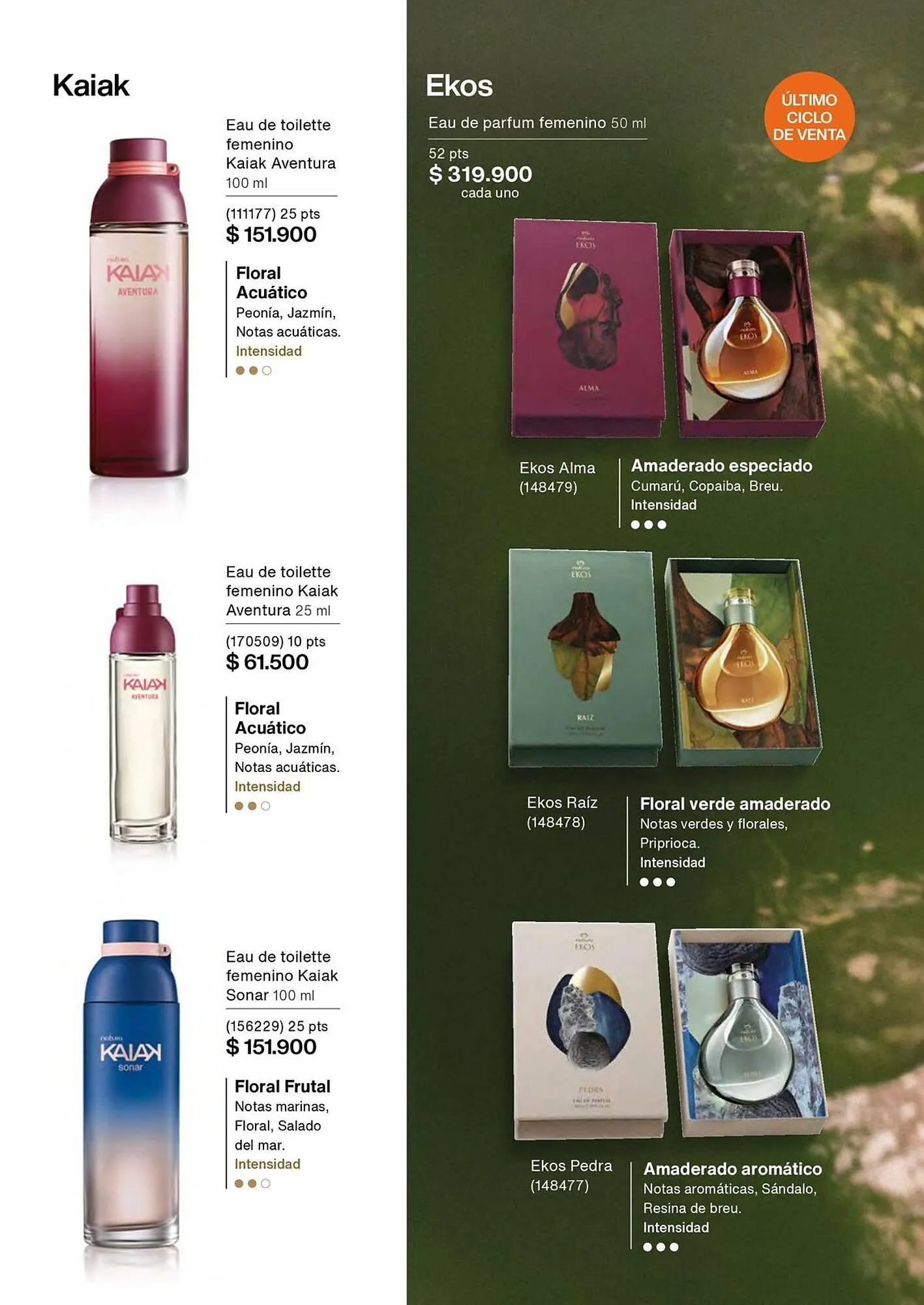 Catalogo de Catálogo Natura 1 de febrero al 28 de febrero 2026 - Pag 62