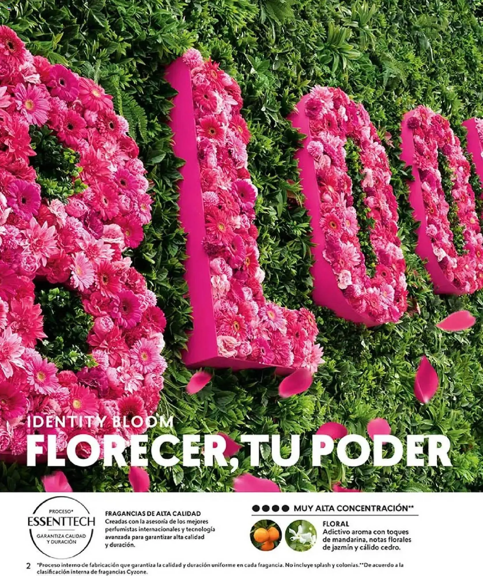 Catalogo de Catálogo Cyzone 1 de abril al 8 de junio 2025 - Pag 2