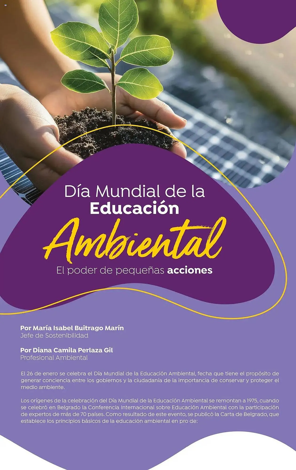 Catalogo de Catálogo Colsubsidio 3 de febrero al 28 de febrero 2025 - Pag 12