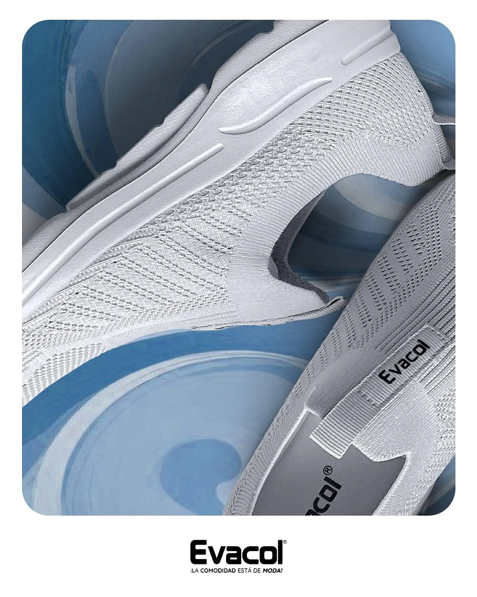 Catalogo de Catálogo Evacol 31 de enero al 6 de febrero 2025 - Pag 1